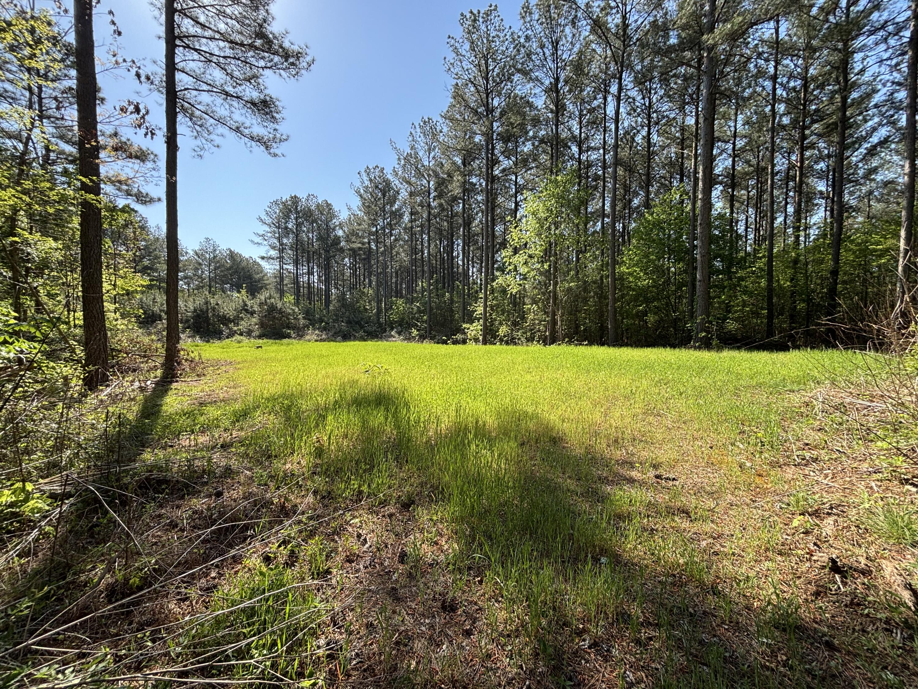866 Bowater Rd Road Property Photo 13