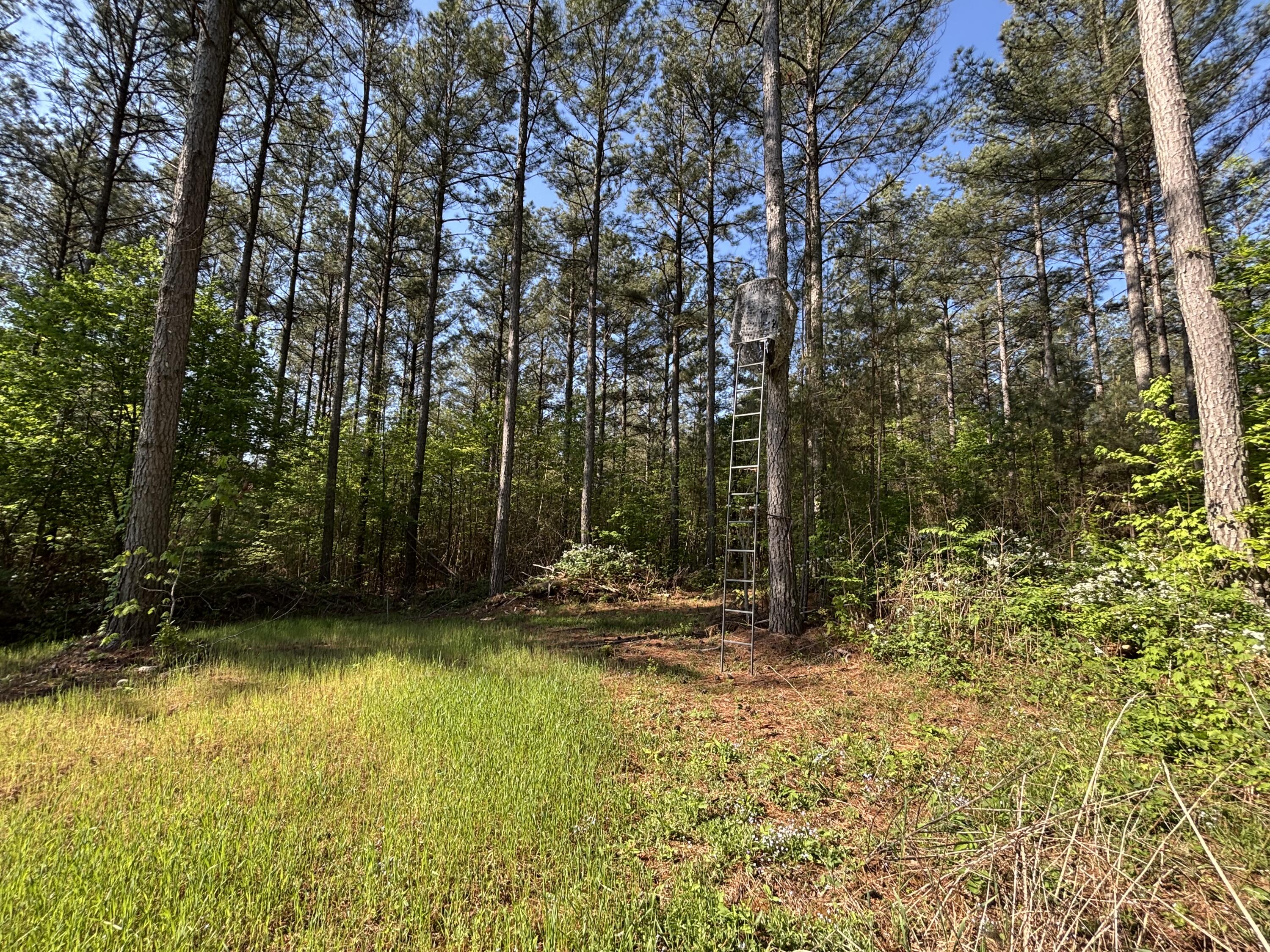 866 Bowater Rd Road Property Photo 14