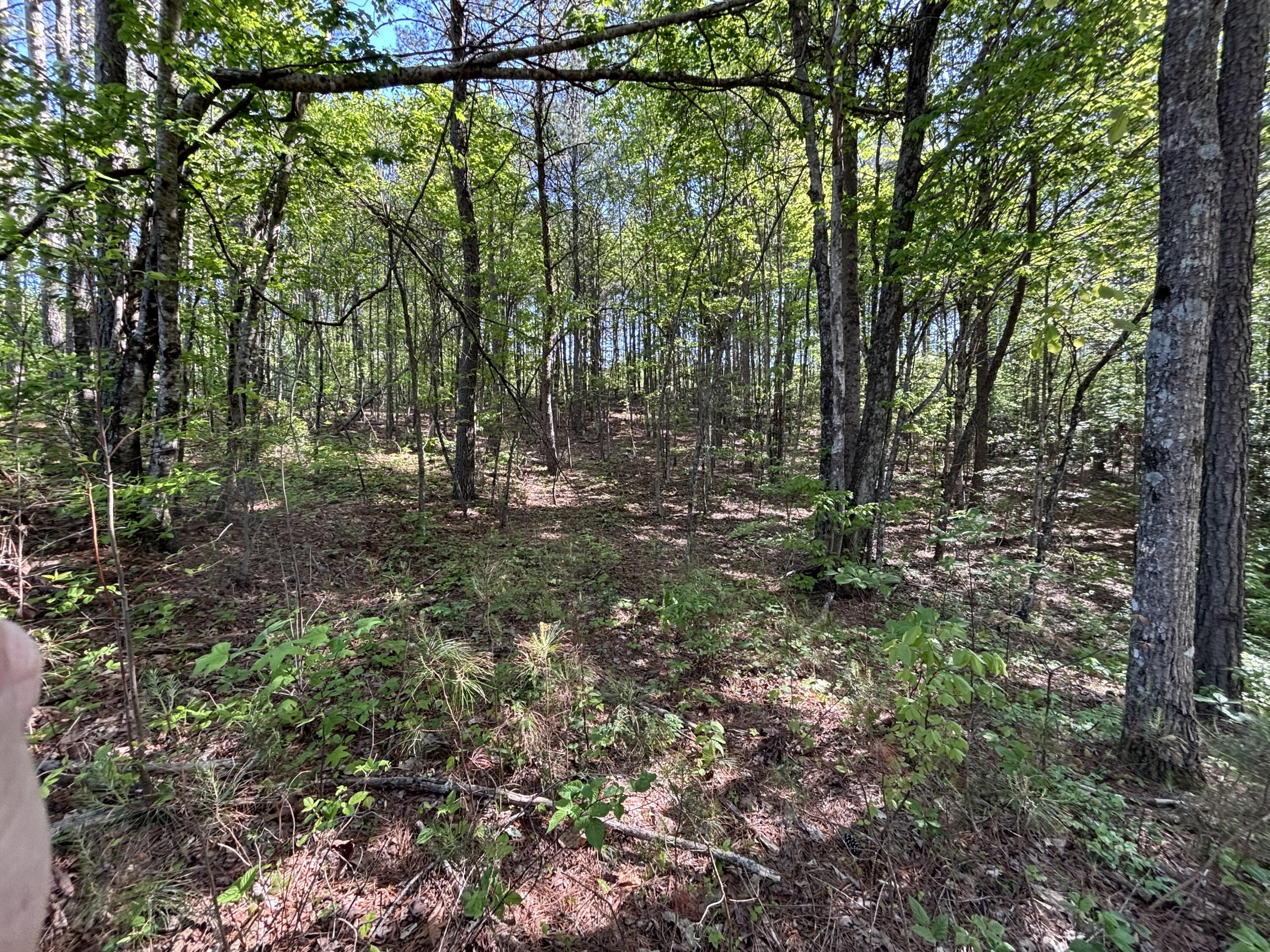 866 Bowater Rd Road Property Photo 16