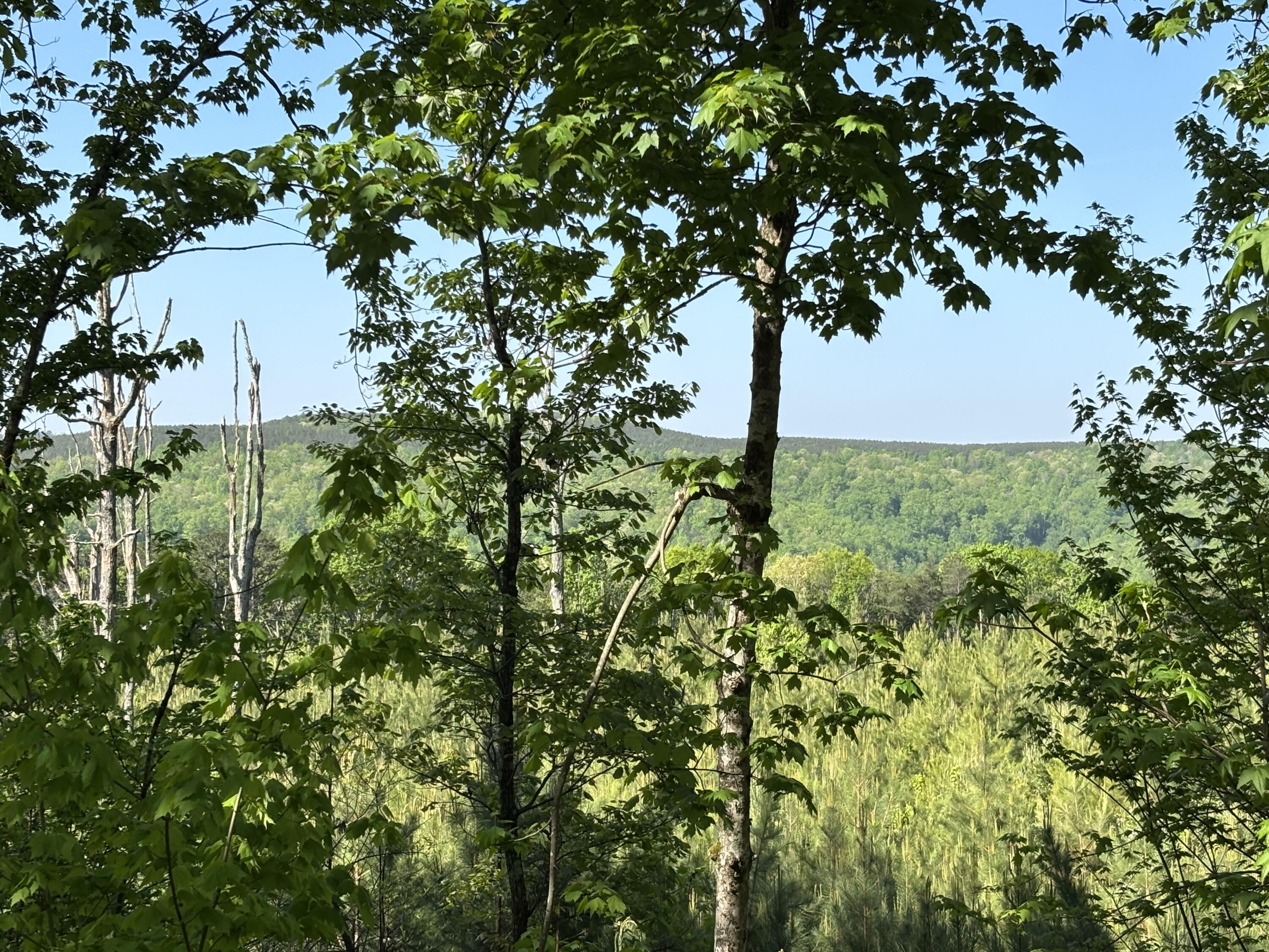866 Bowater Rd Road Property Photo 17