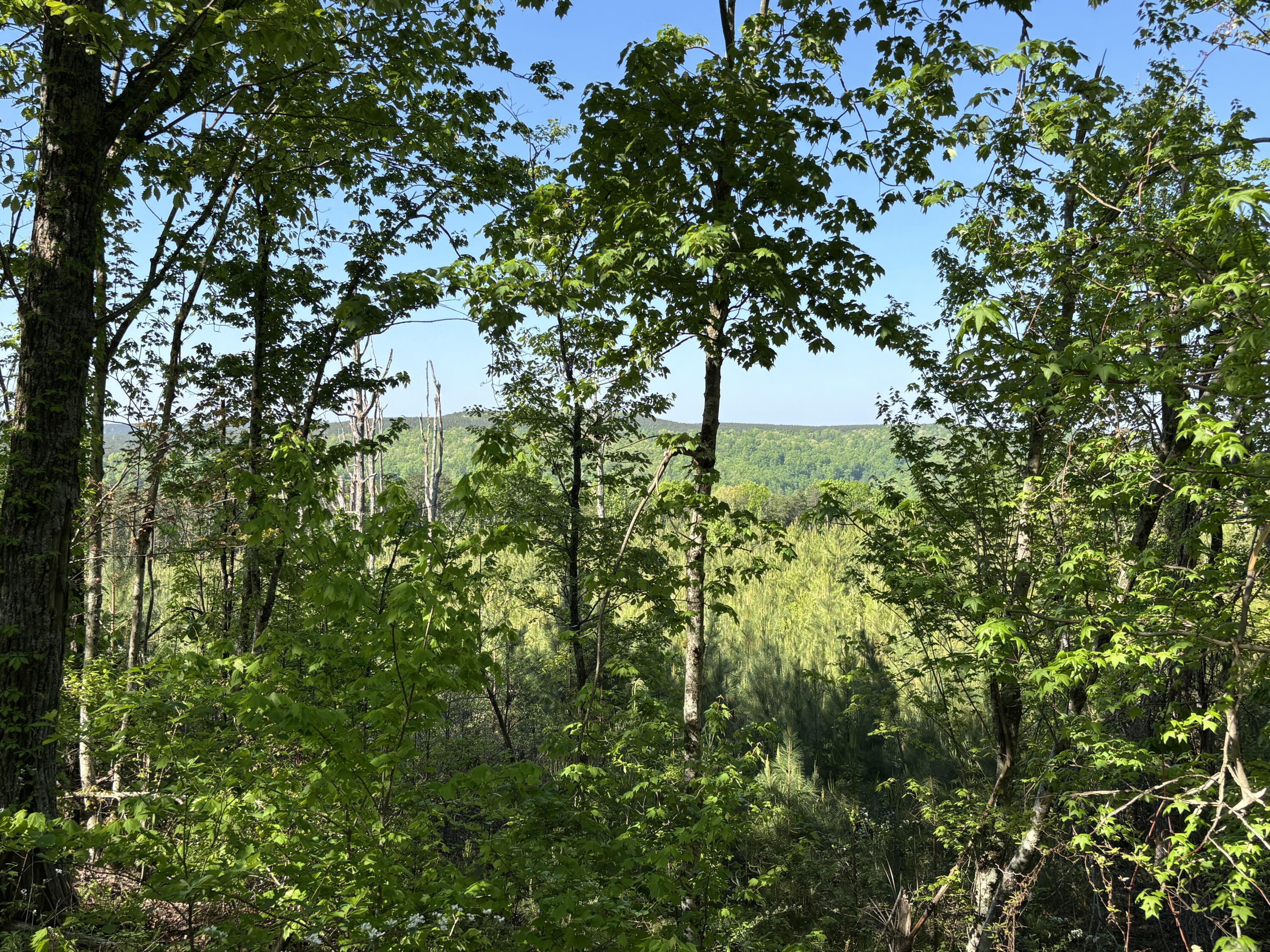 866 Bowater Rd Road Property Photo 18
