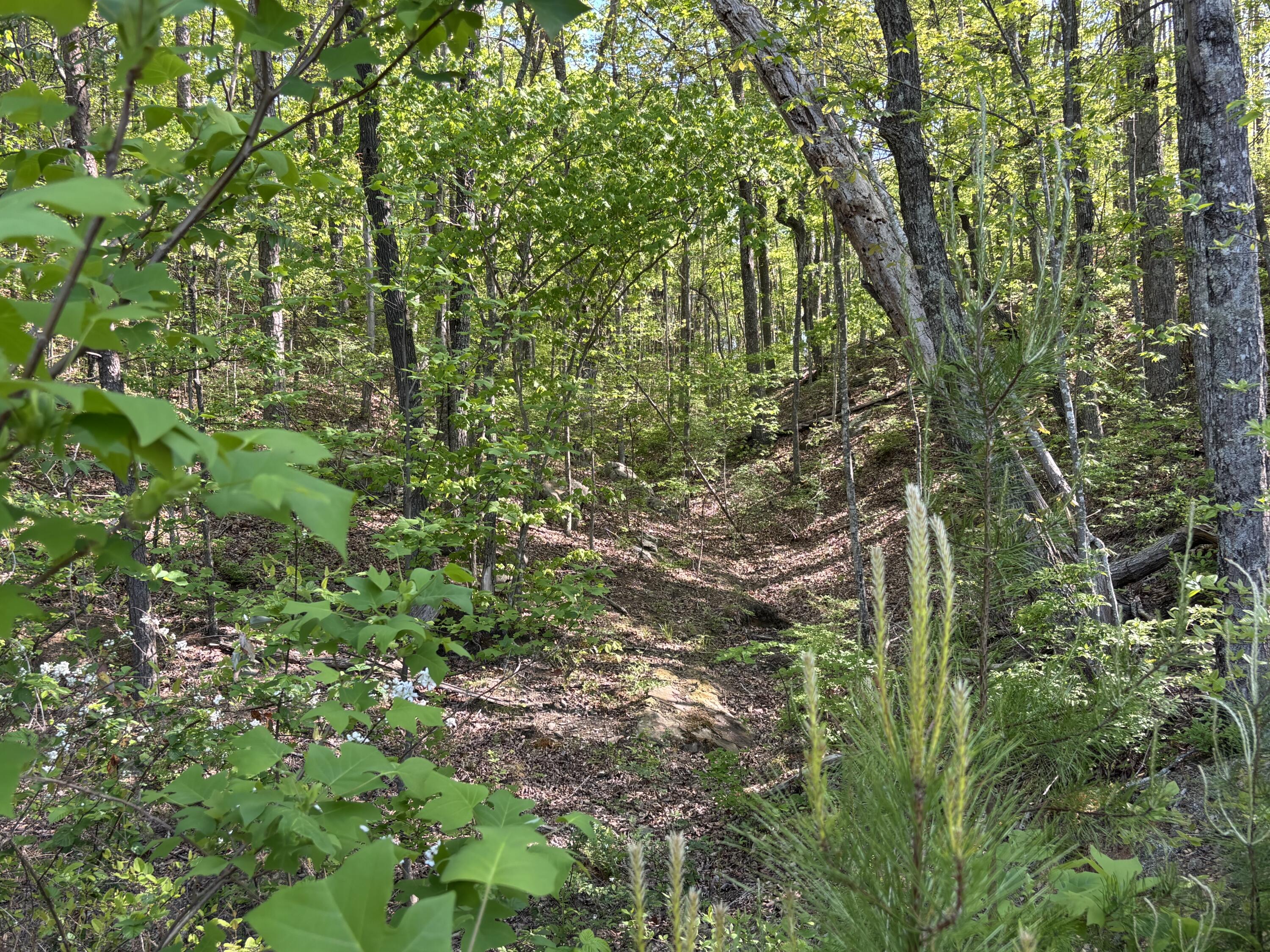 866 Bowater Rd Road Property Photo 19
