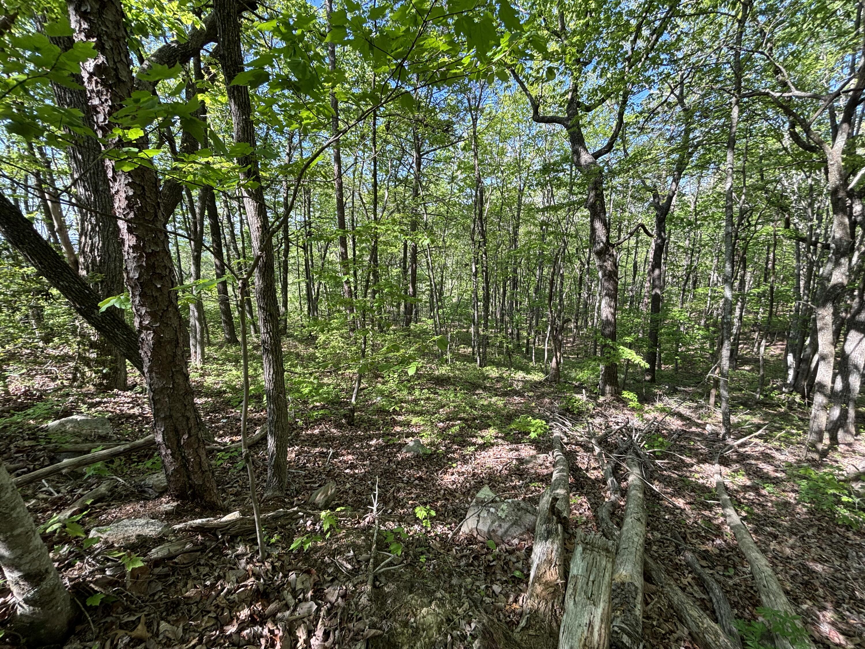 866 Bowater Rd Road Property Photo 21