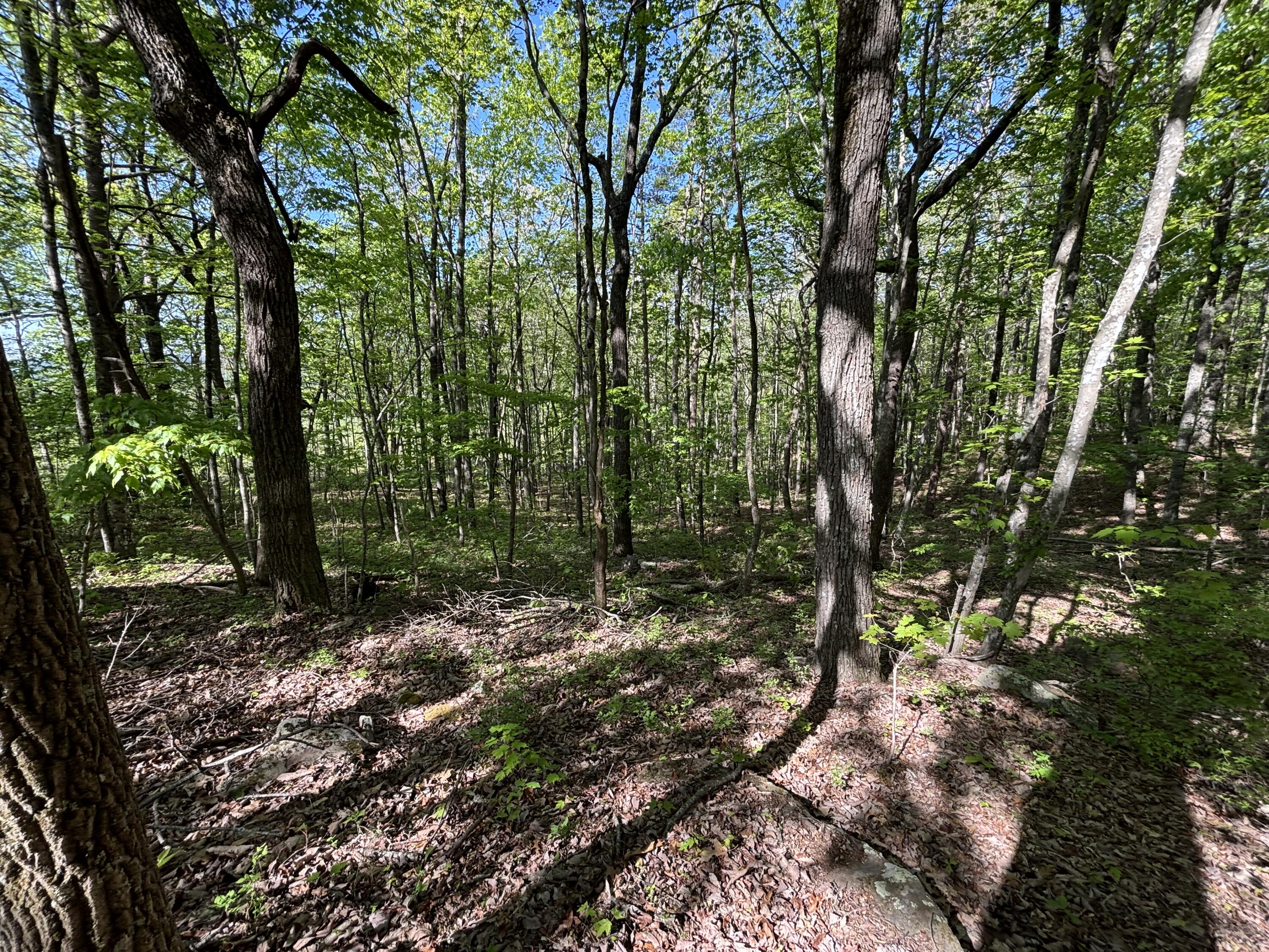 866 Bowater Rd Road Property Photo 24