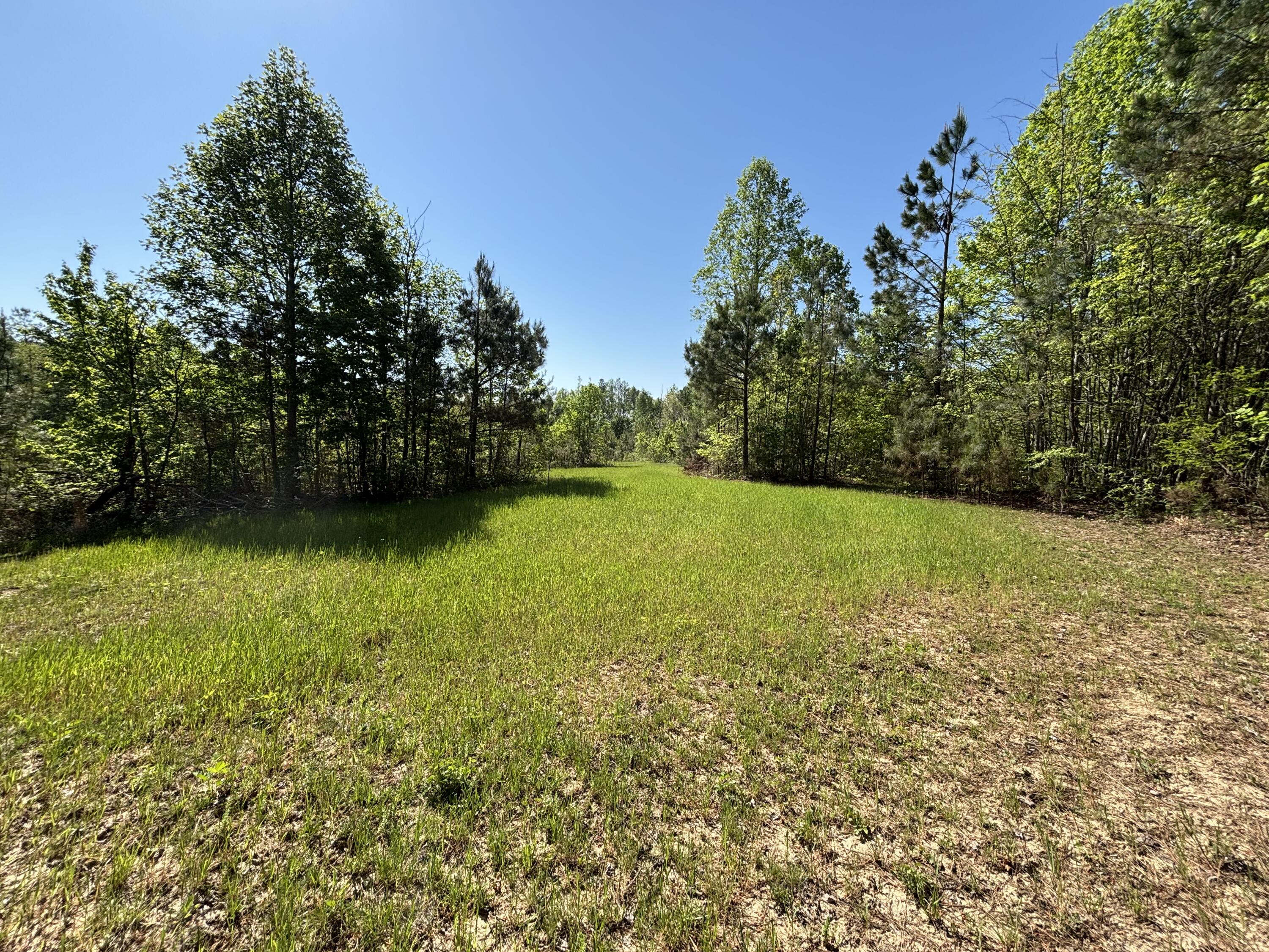 866 Bowater Rd Road Property Photo 25