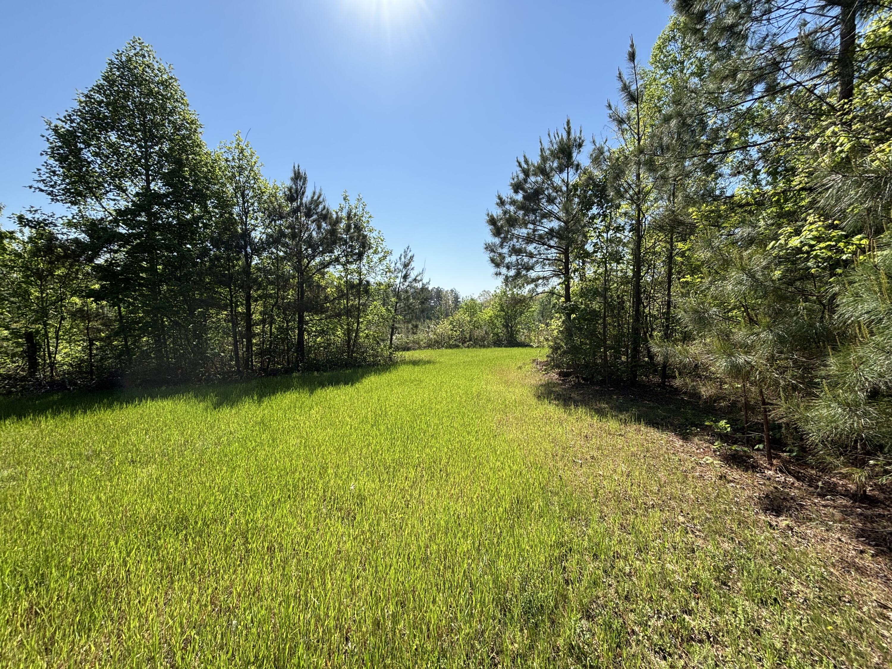866 Bowater Rd Road Property Photo 26
