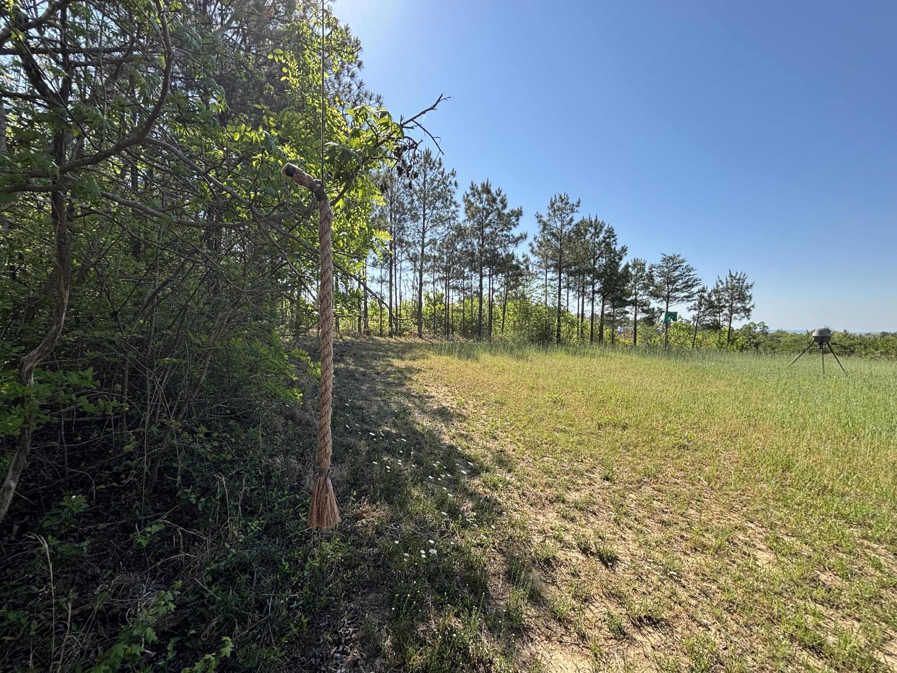 866 Bowater Rd Road Property Photo 28