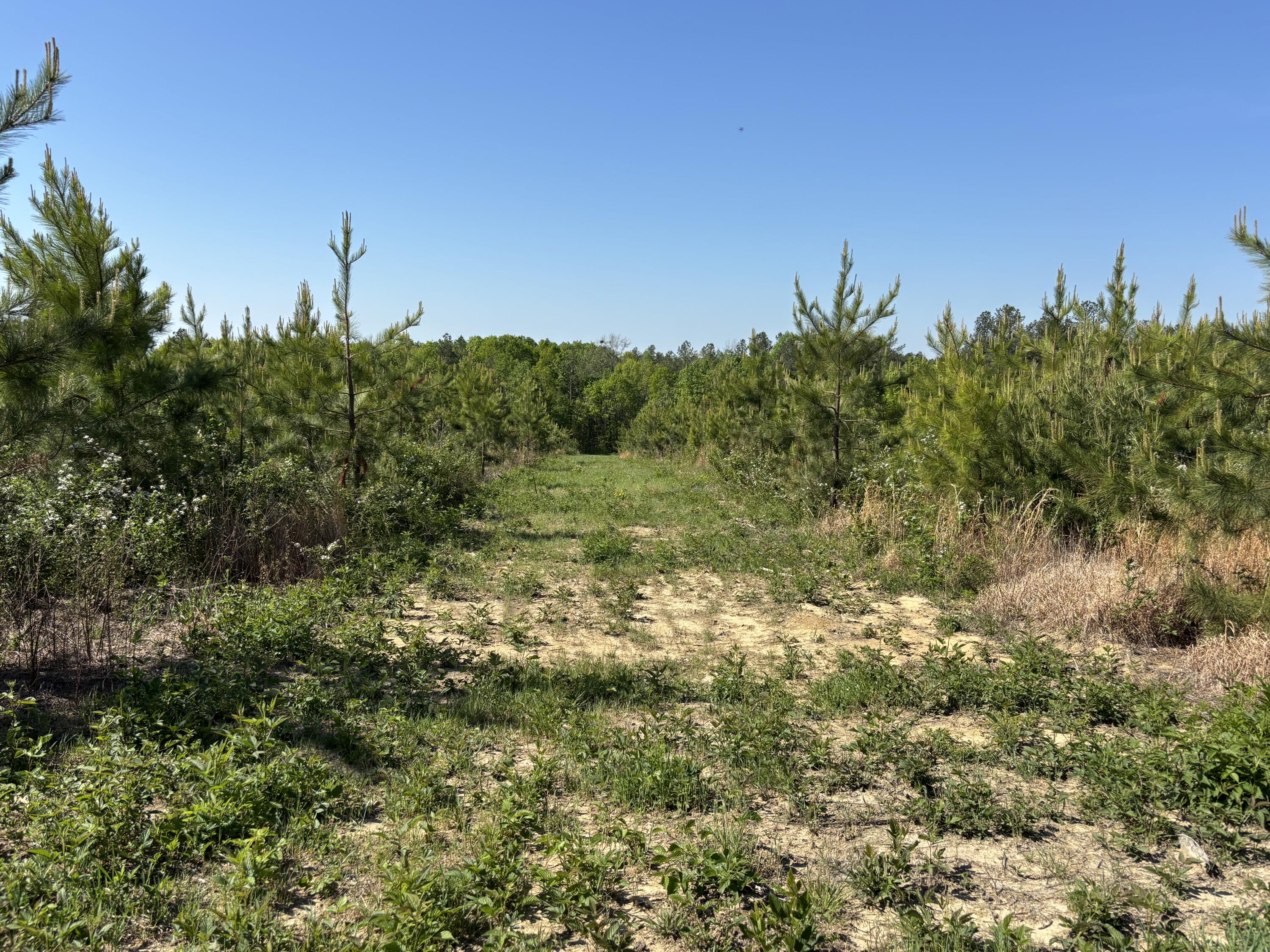 866 Bowater Rd Road Property Photo 30