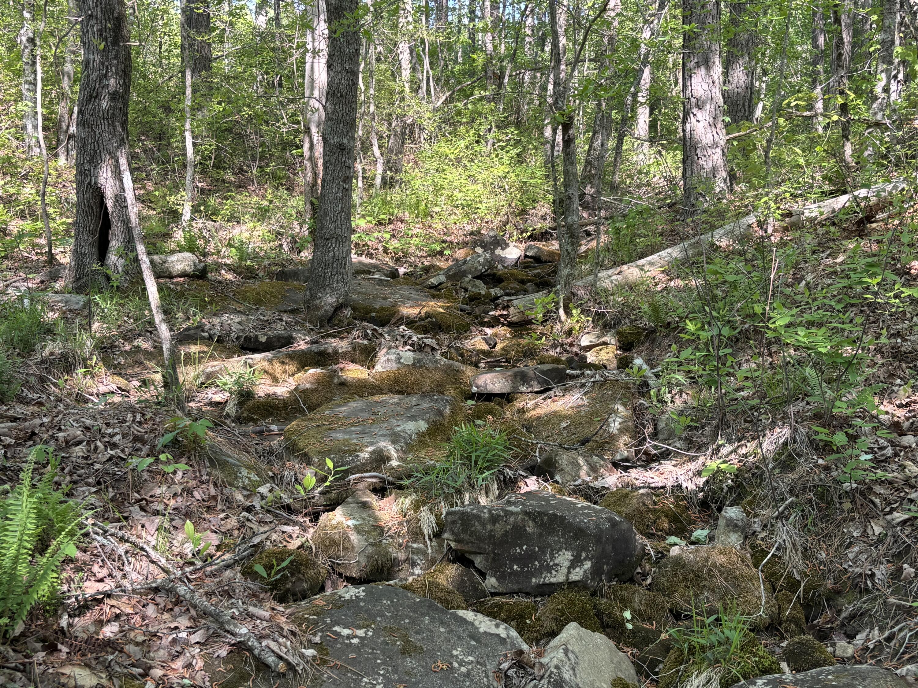 866 Bowater Rd Road Property Photo 34