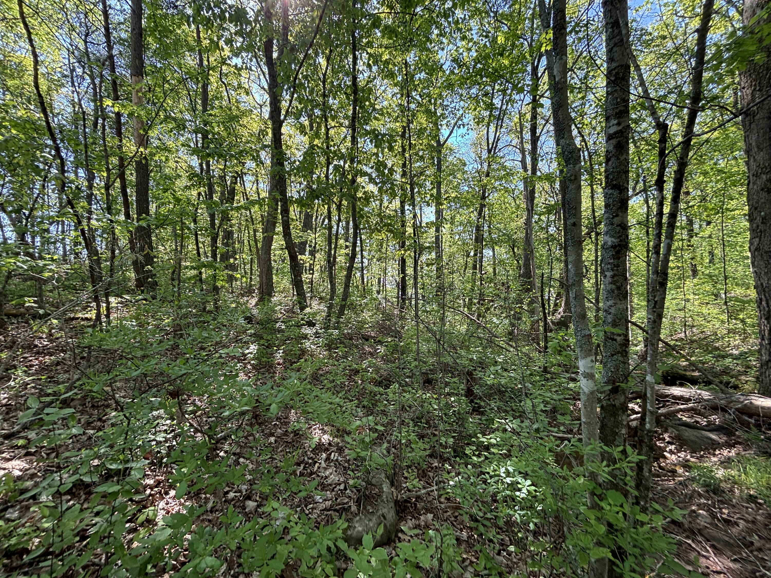 866 Bowater Rd Road Property Photo 35