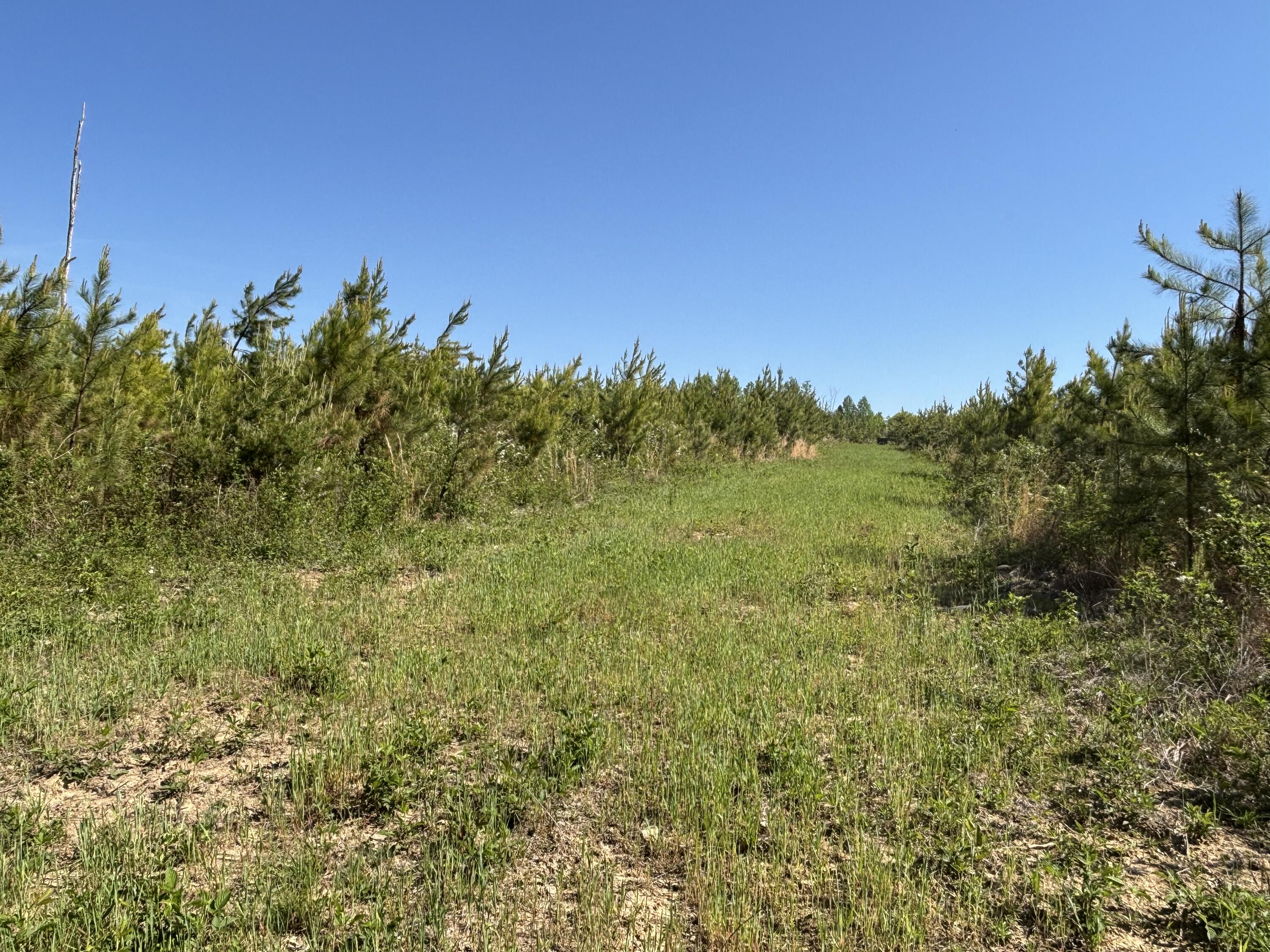 866 Bowater Rd Road Property Photo 36