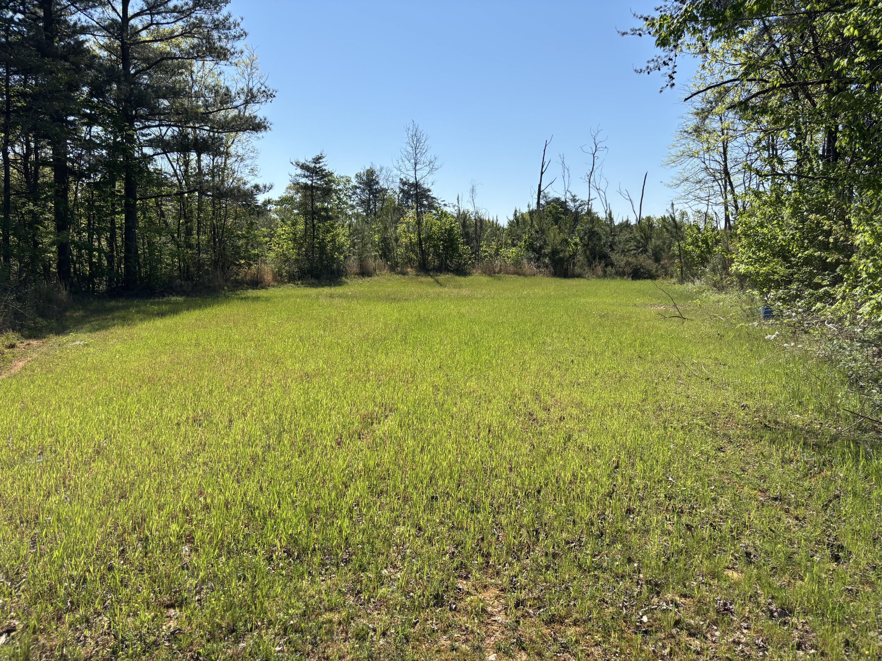 866 Bowater Rd Road Property Photo 37