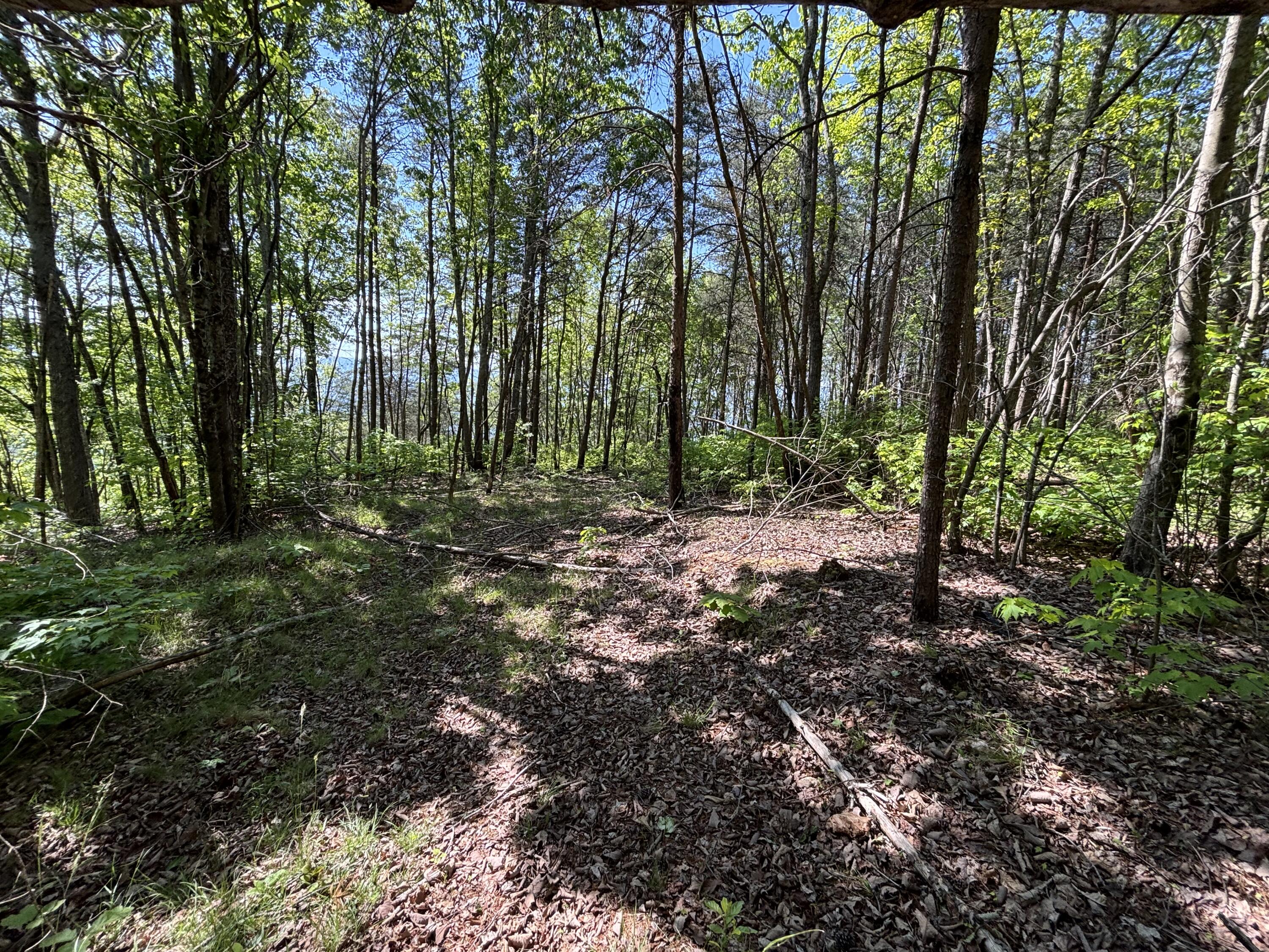 866 Bowater Rd Road Property Photo 39