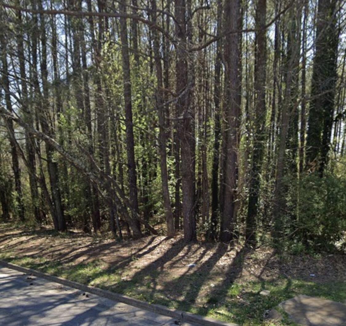 0 Adamson Parkway Property Photo 12