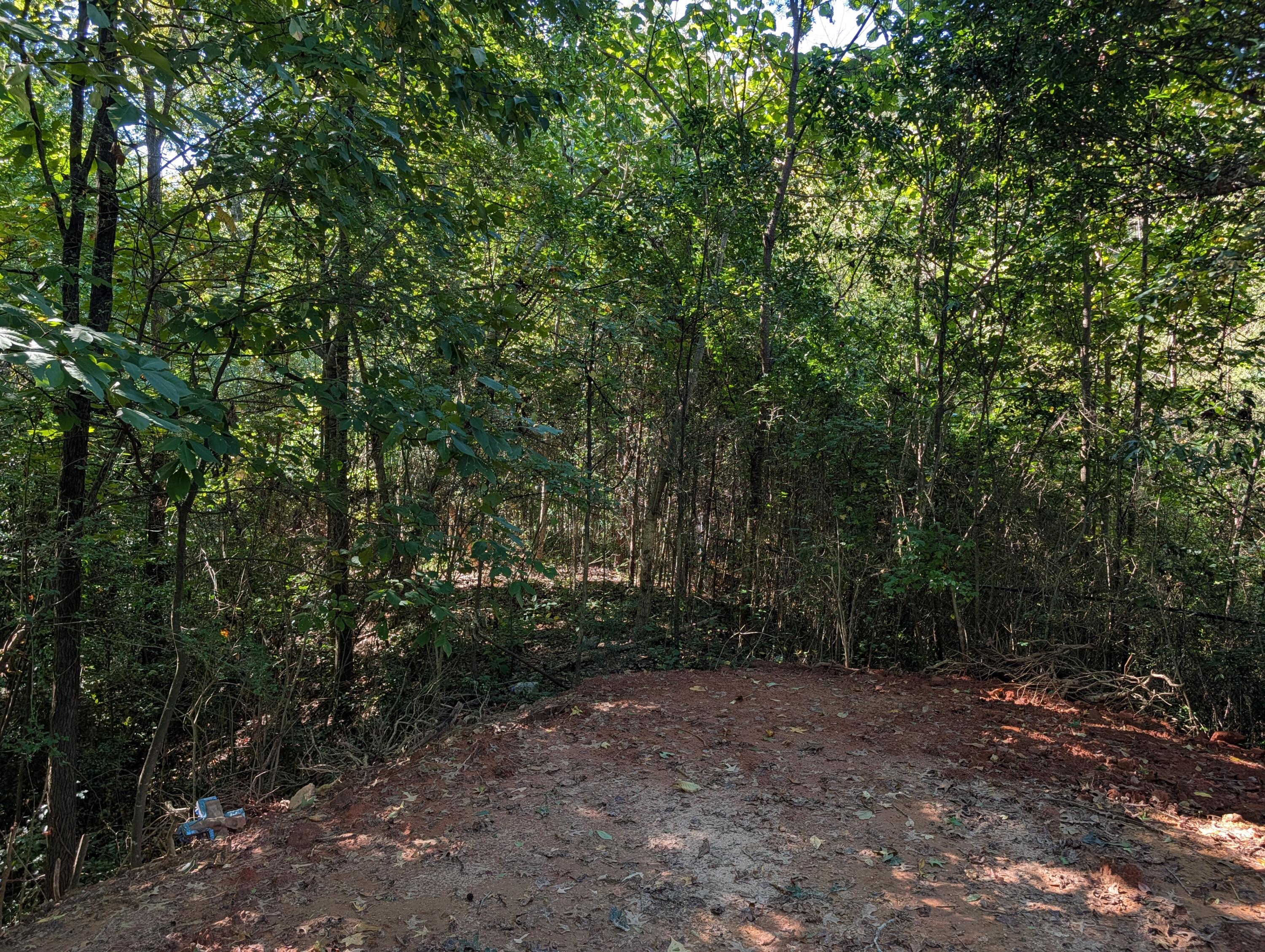 0 Adamson Parkway Property Photo 13
