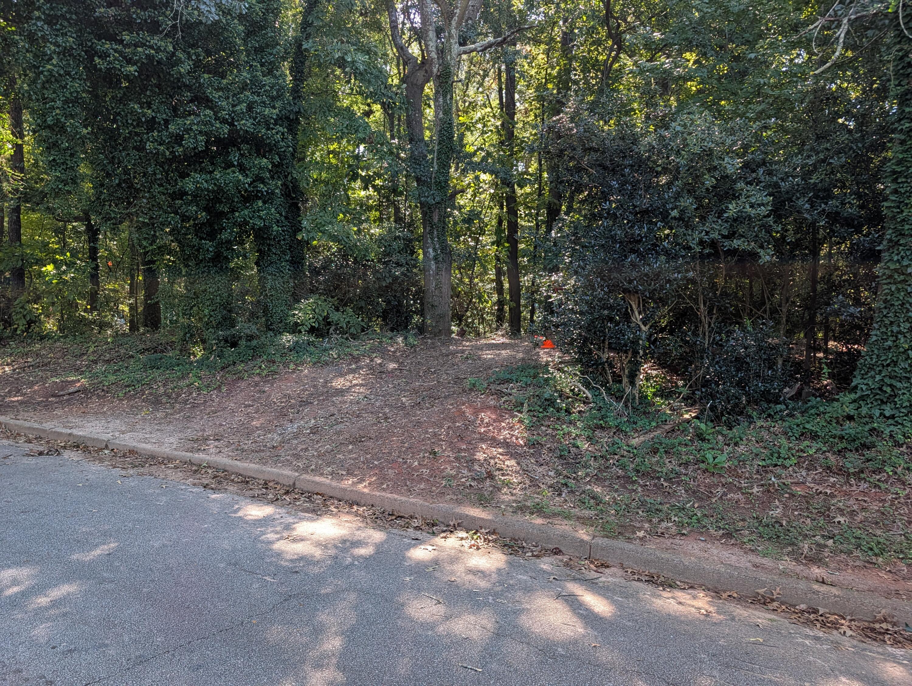 0 Adamson Parkway Property Photo 16