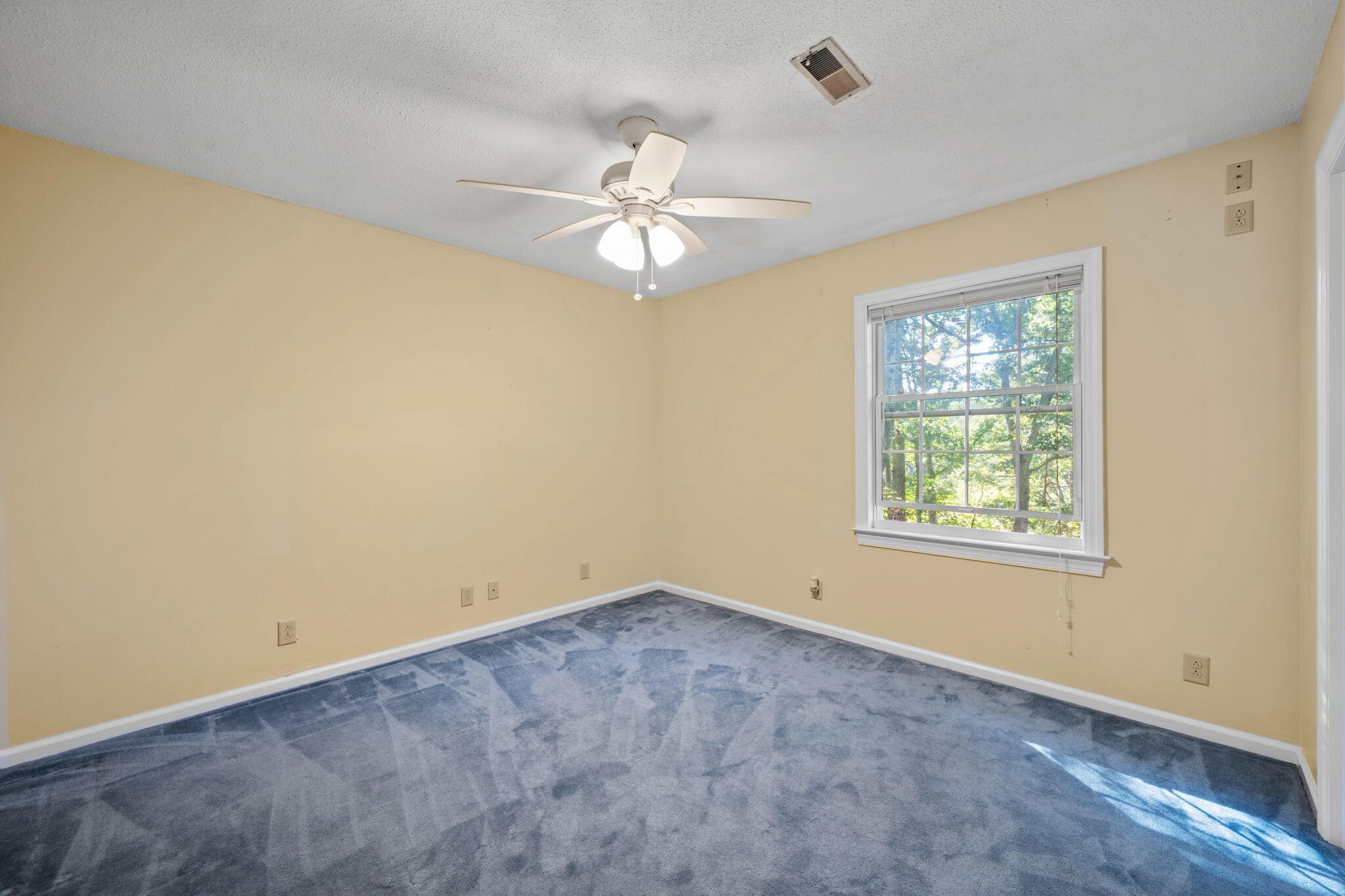 4171 Gann Store Road Property Photo 27