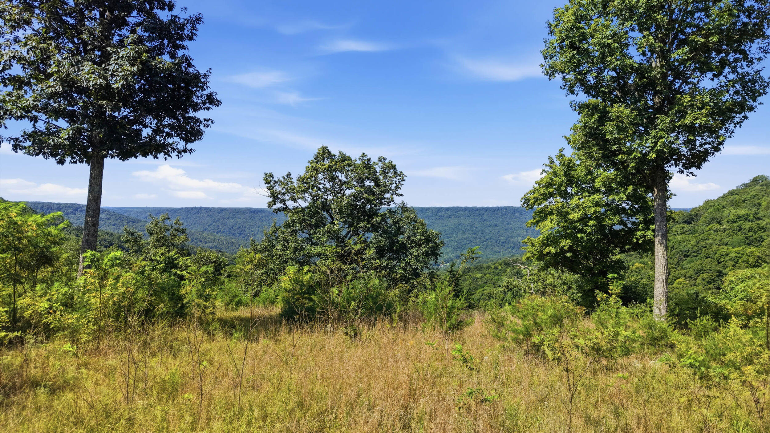 623 Coyote Trail Property Photo 4