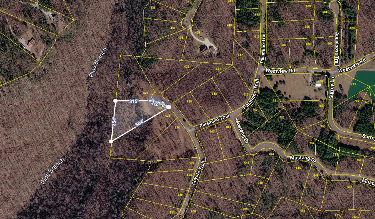624 Coyote Trail Property Photo 21