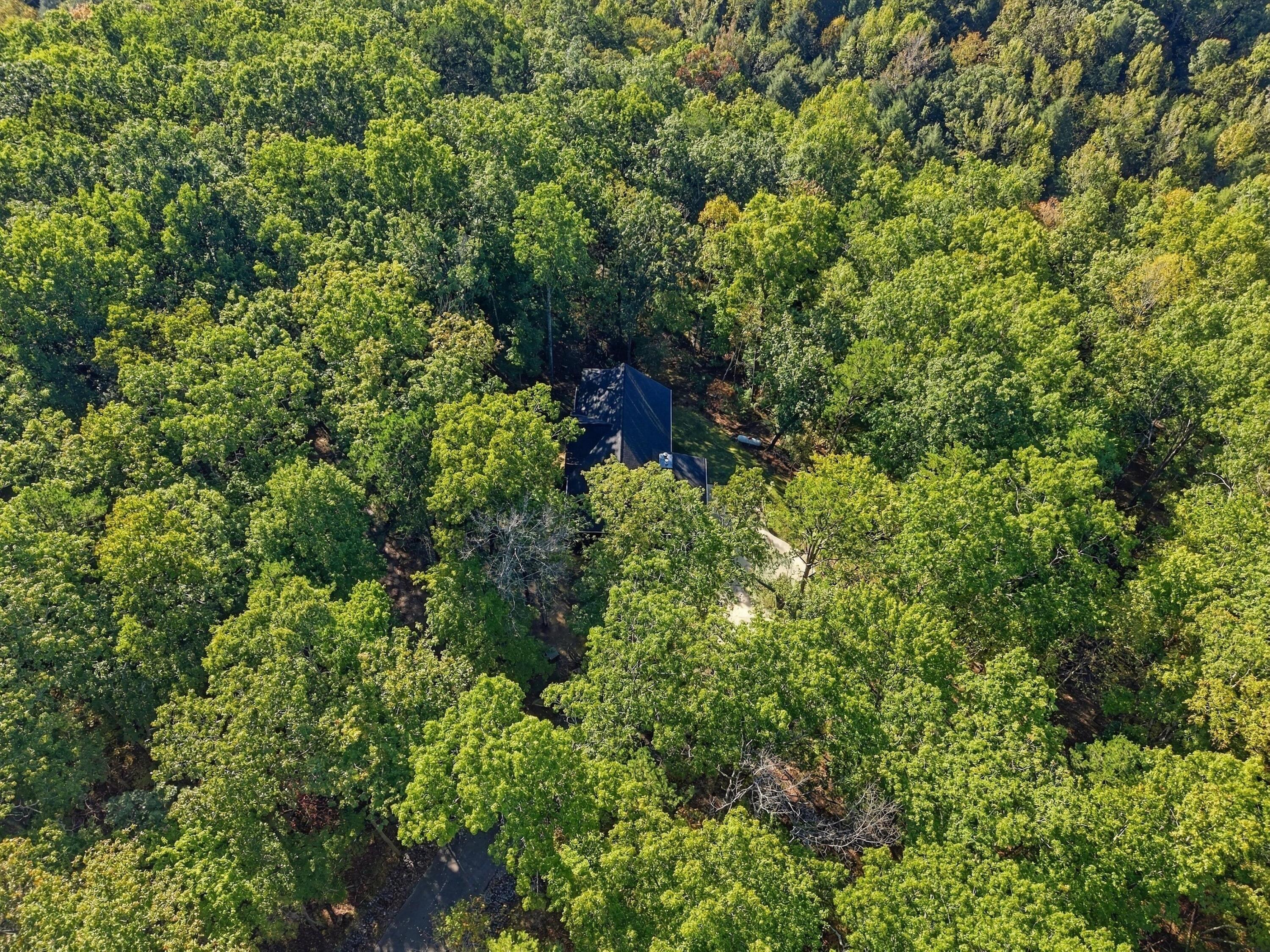195 Deep Woods Drive Property Photo 38