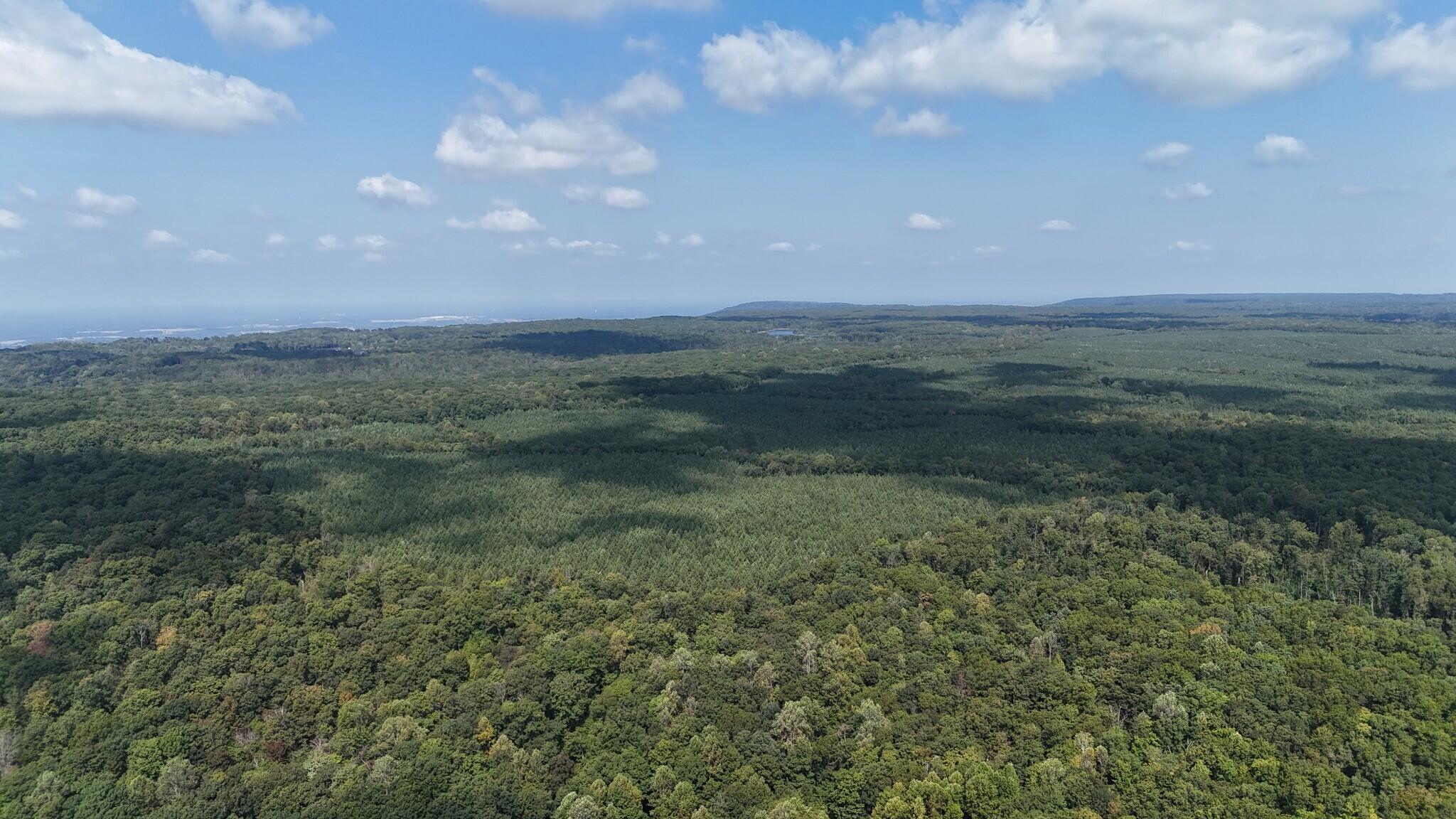 0 Deer Run Road Property Photo 5
