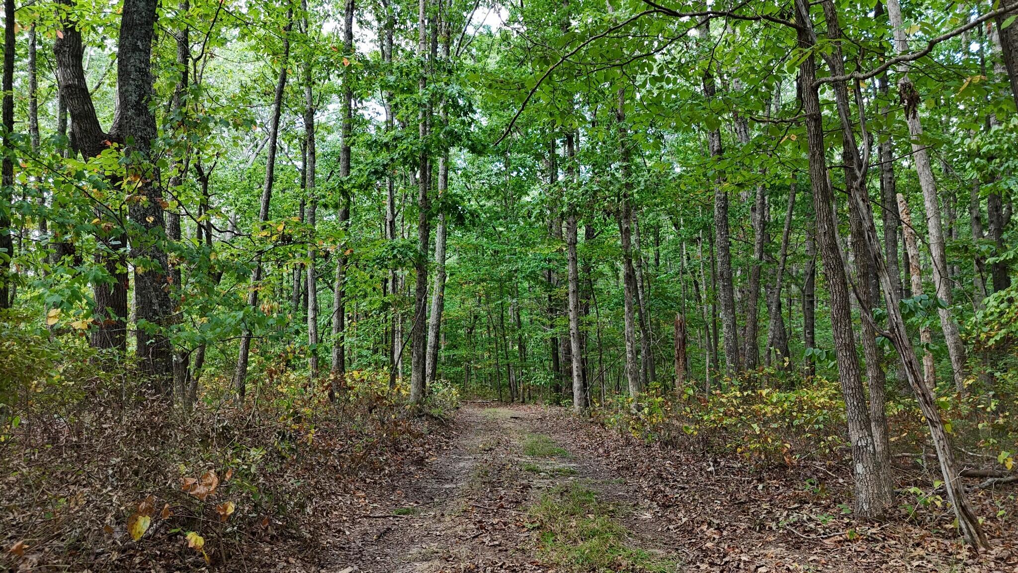 0 Deer Run Road Property Photo 6