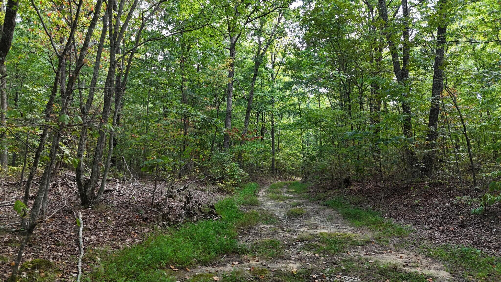 0 Deer Run Road Property Photo 7