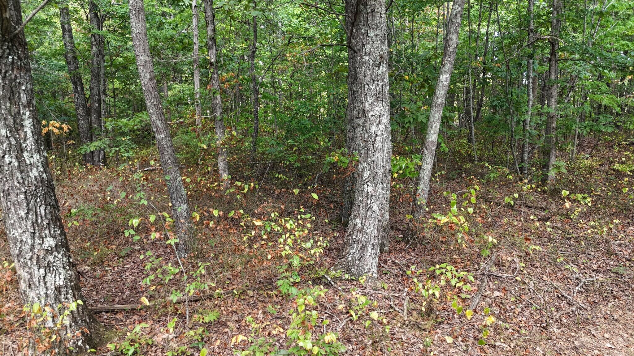 0 Deer Run Road Property Photo 8