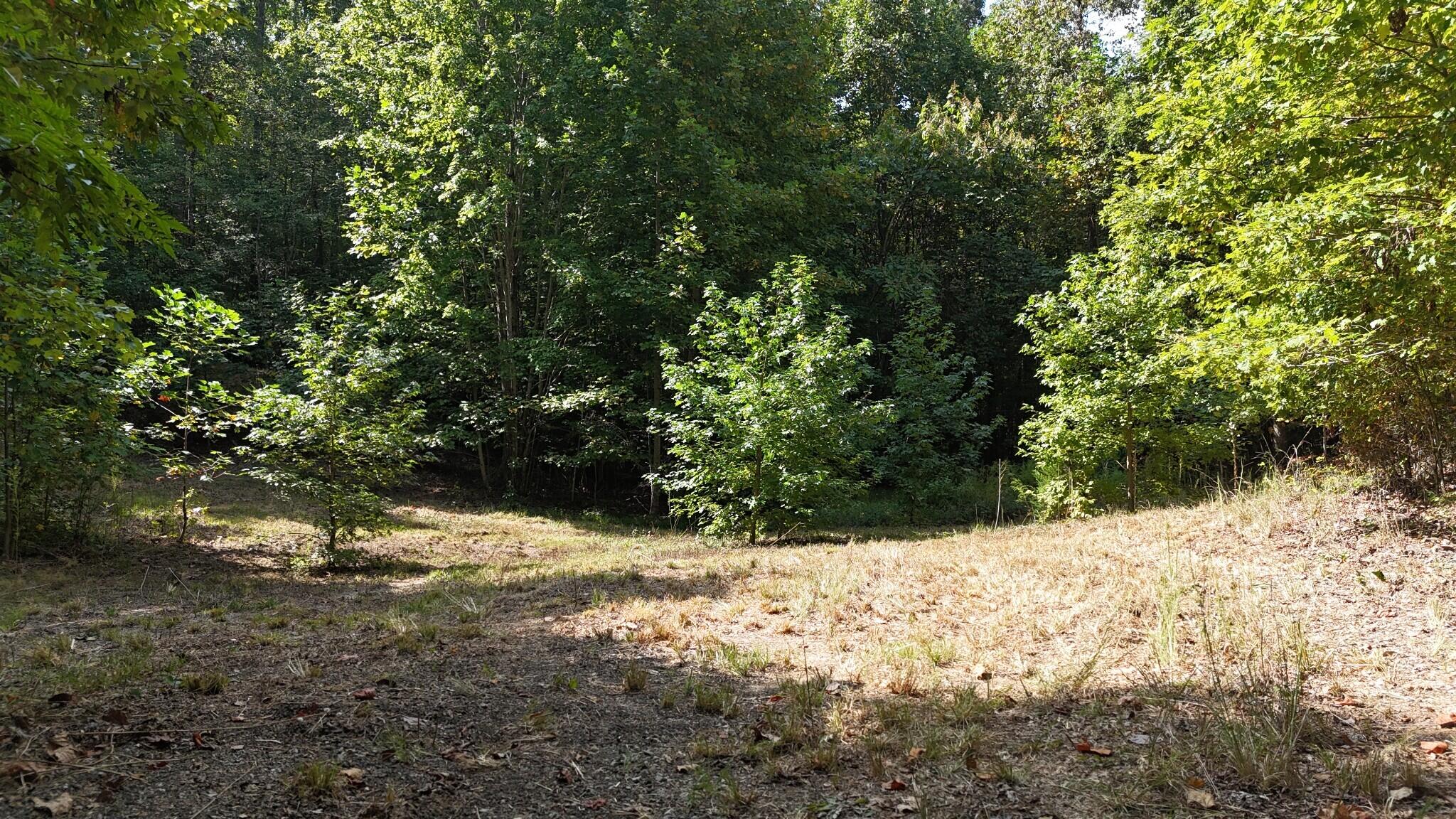 0 Deer Run Road Property Photo 9