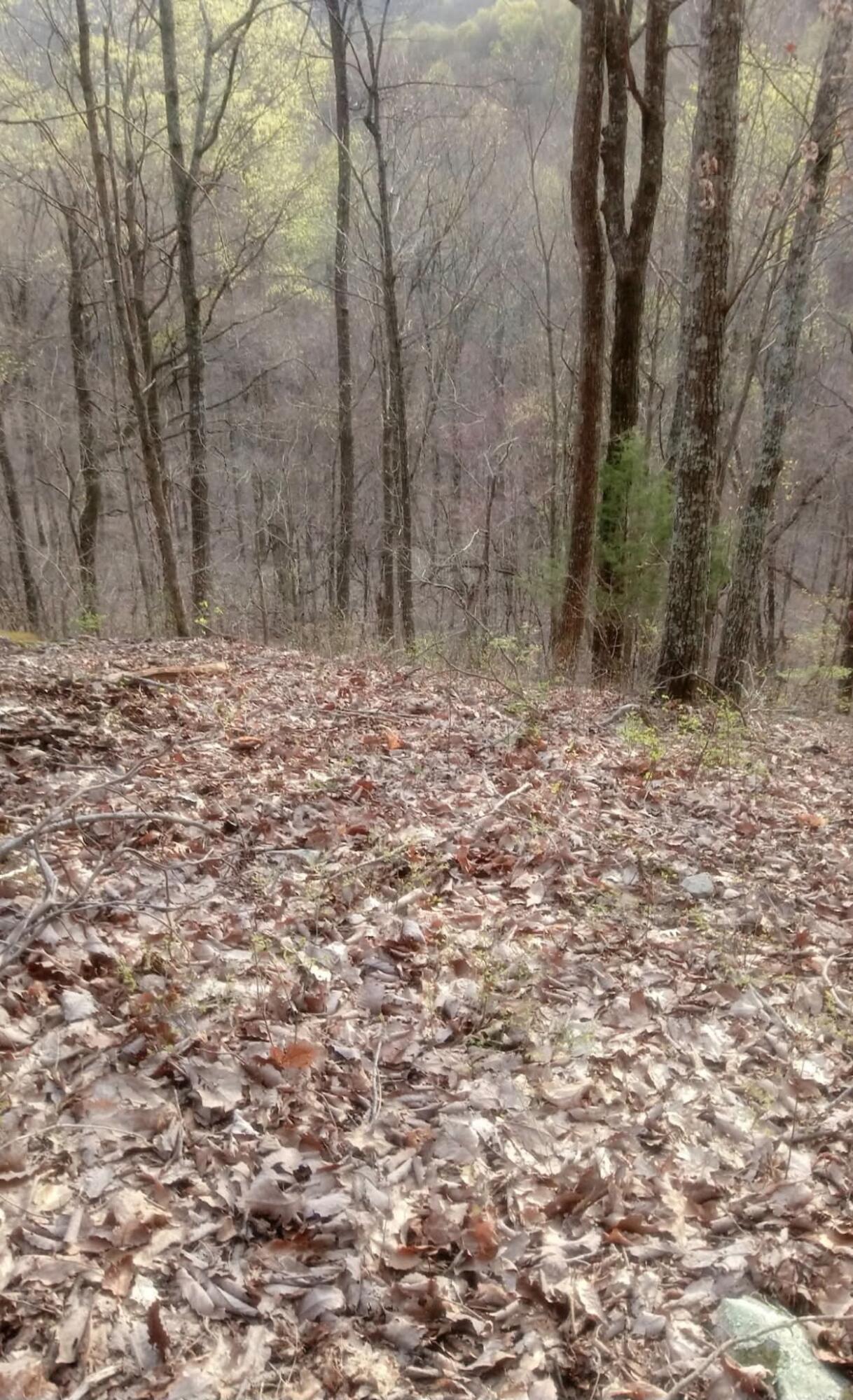 0 Deer Run Road Property Photo 12