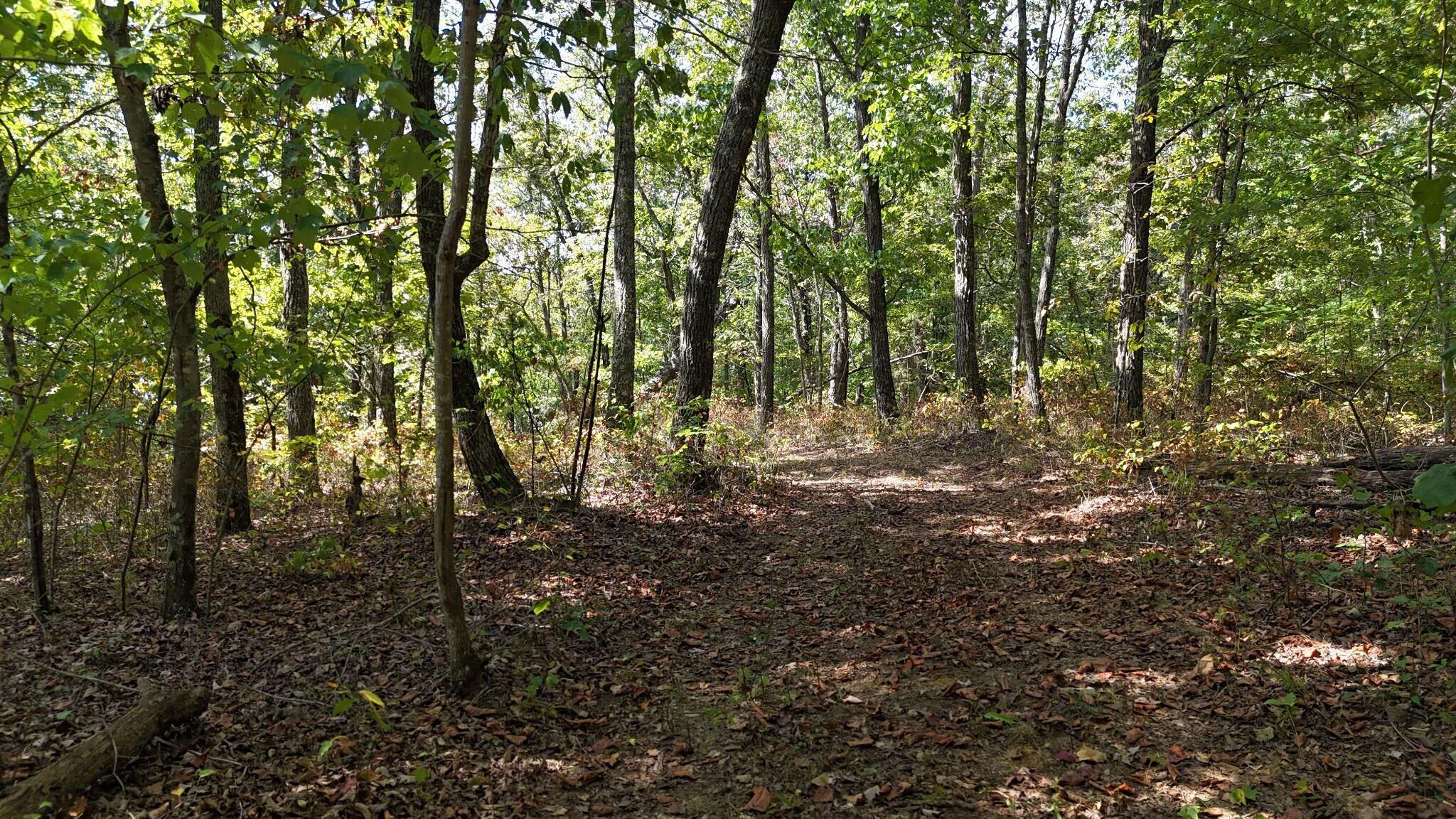 0 Deer Run Road Property Photo 15