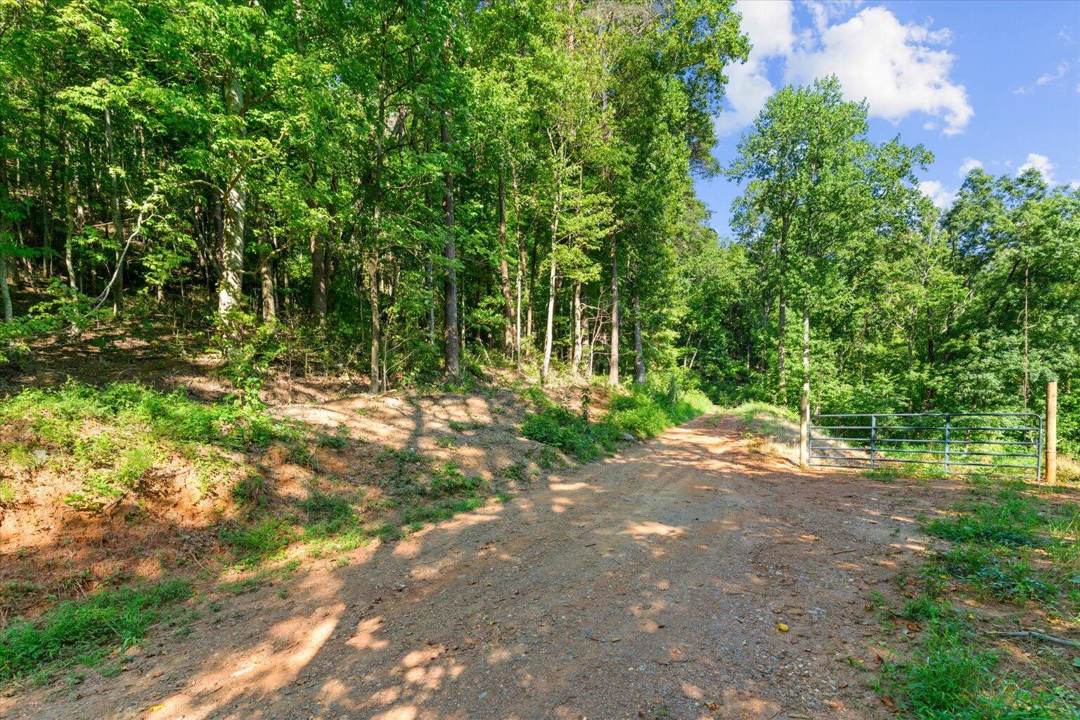 Lot 5 Firetower Property Photo 5