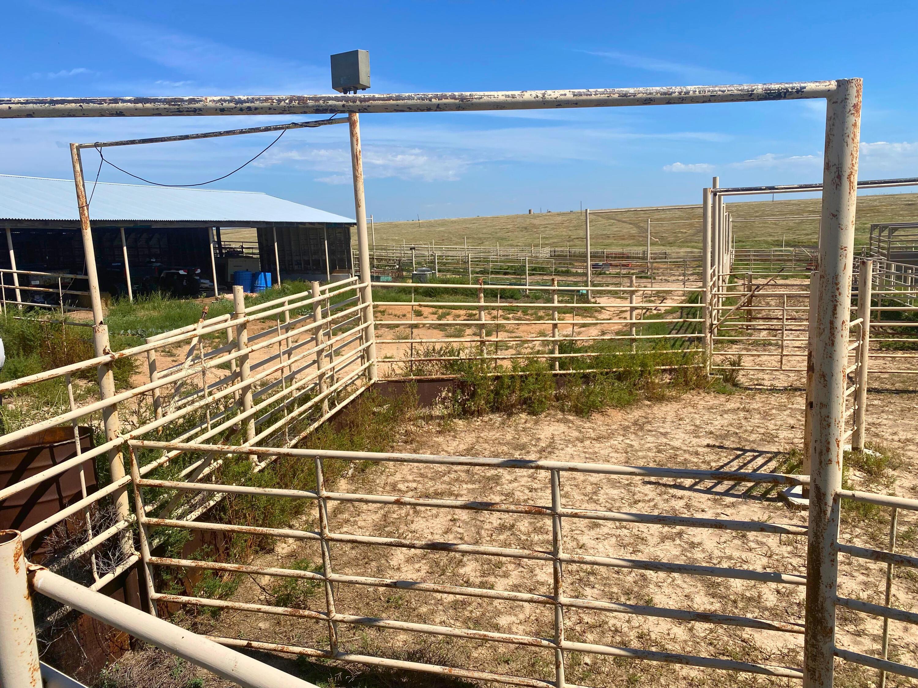 Perryton Property Photo 7