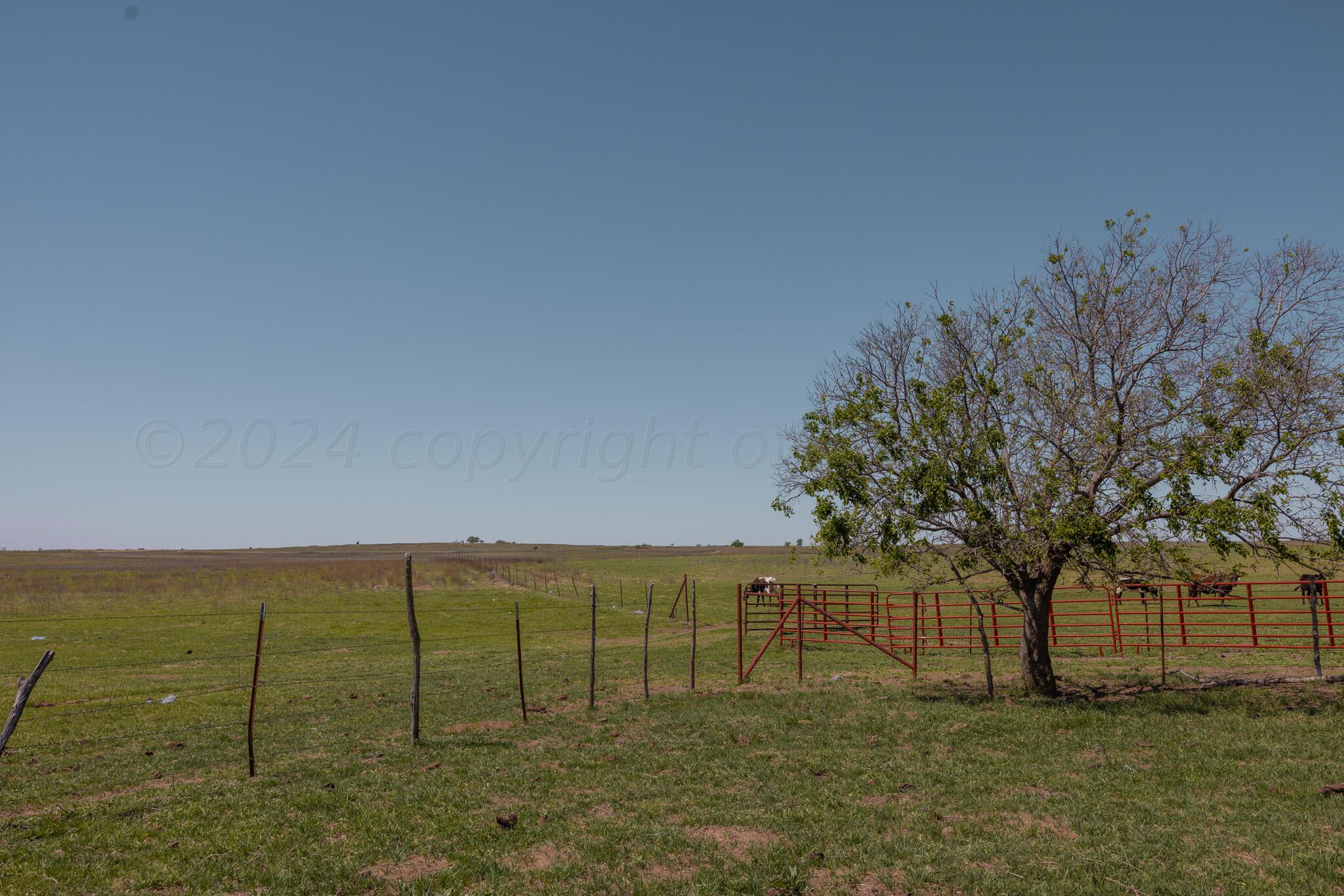 Terry Place Property Photo 5