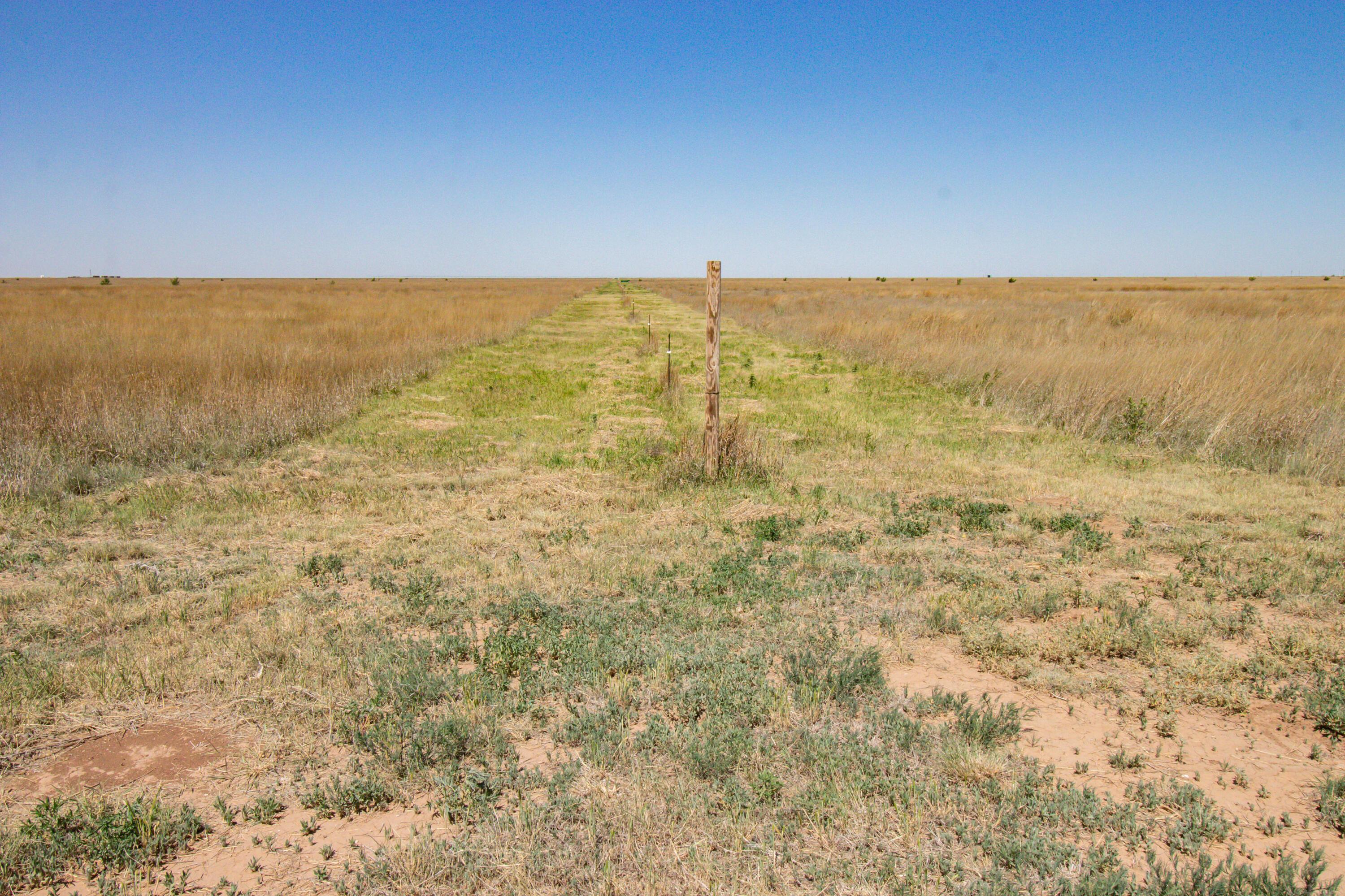 Vincent Farms Property Photo 62