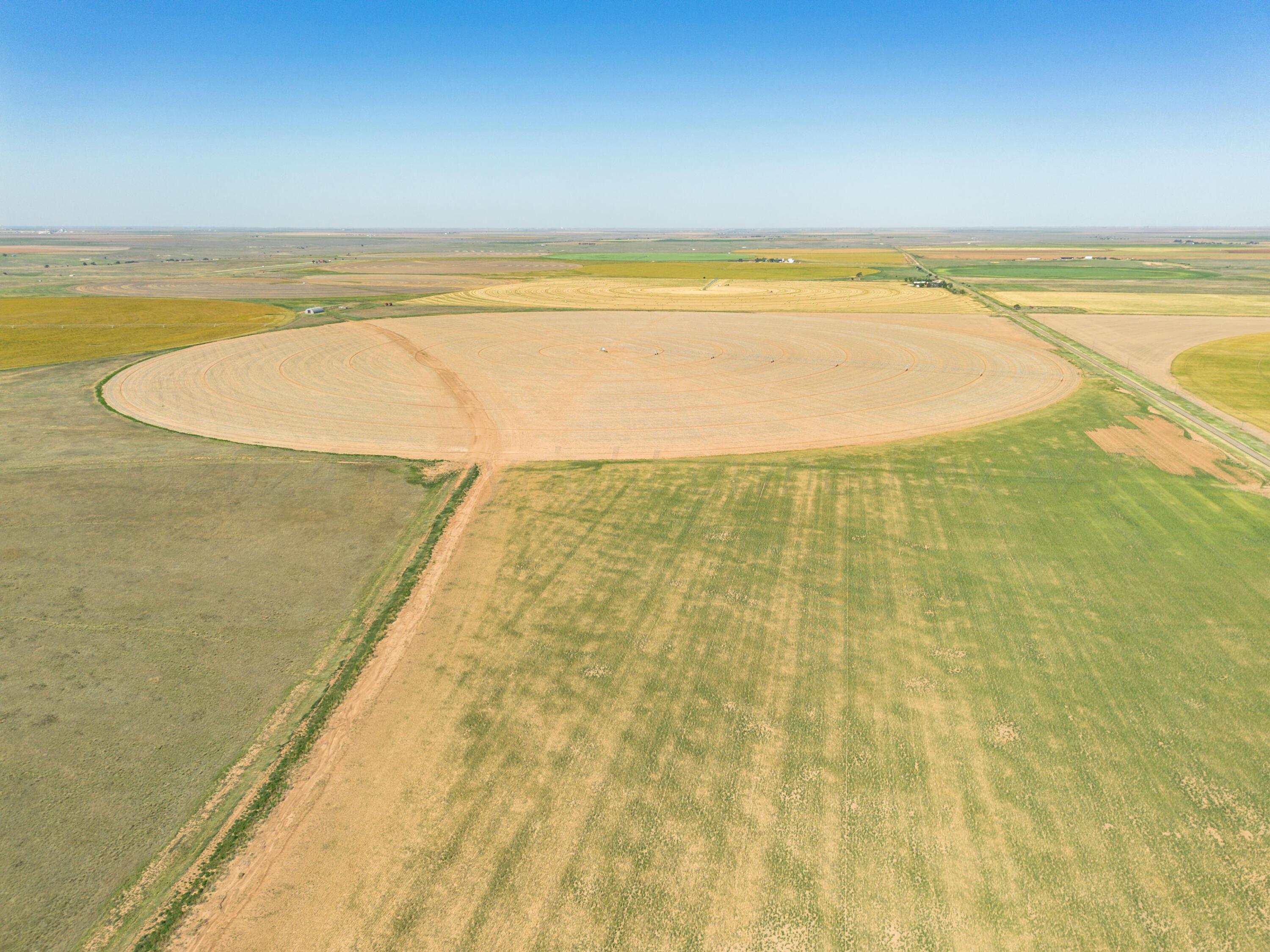 Vincent Farms Property Photo 90