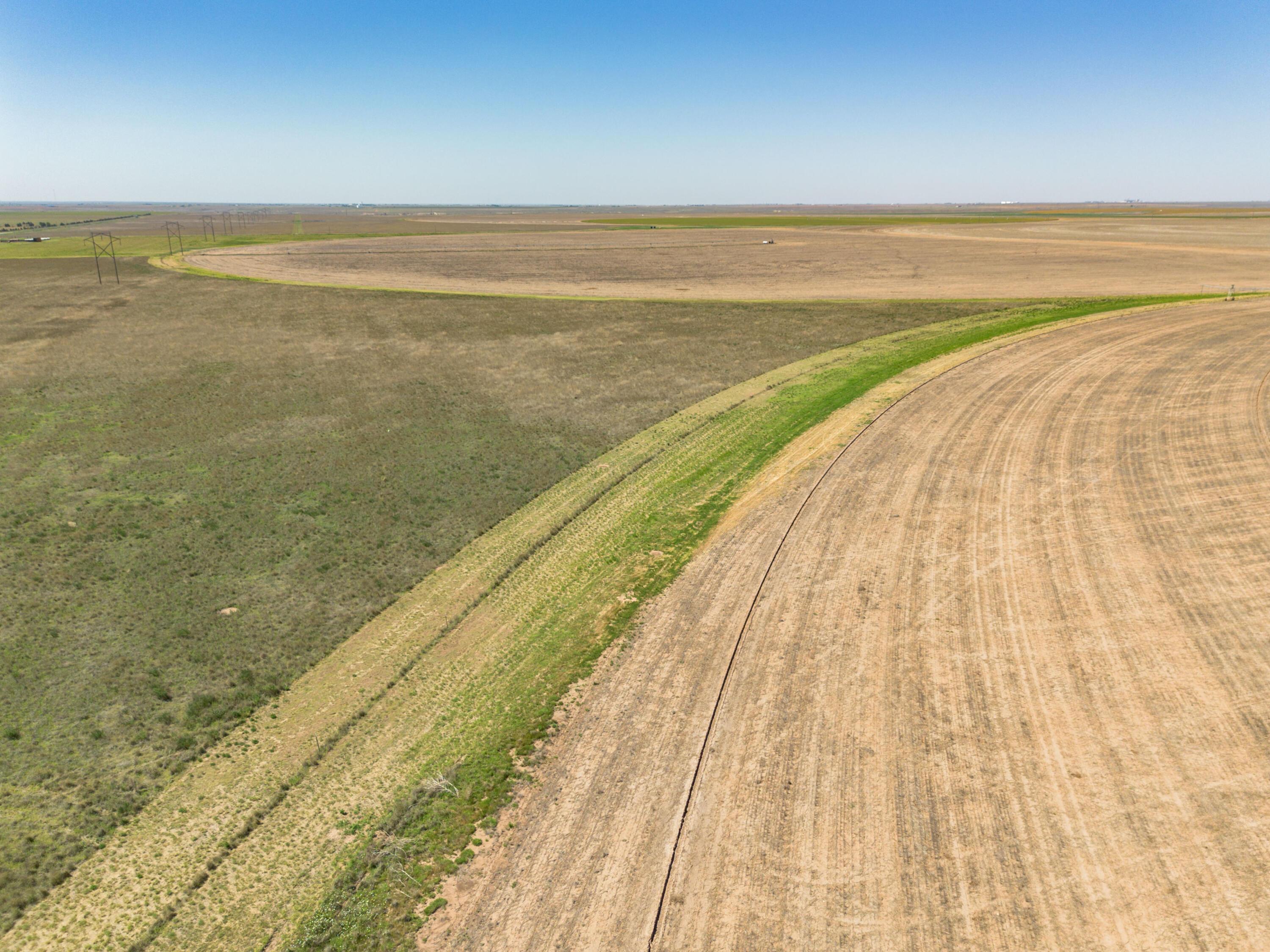 Vincent Farms Property Photo 104