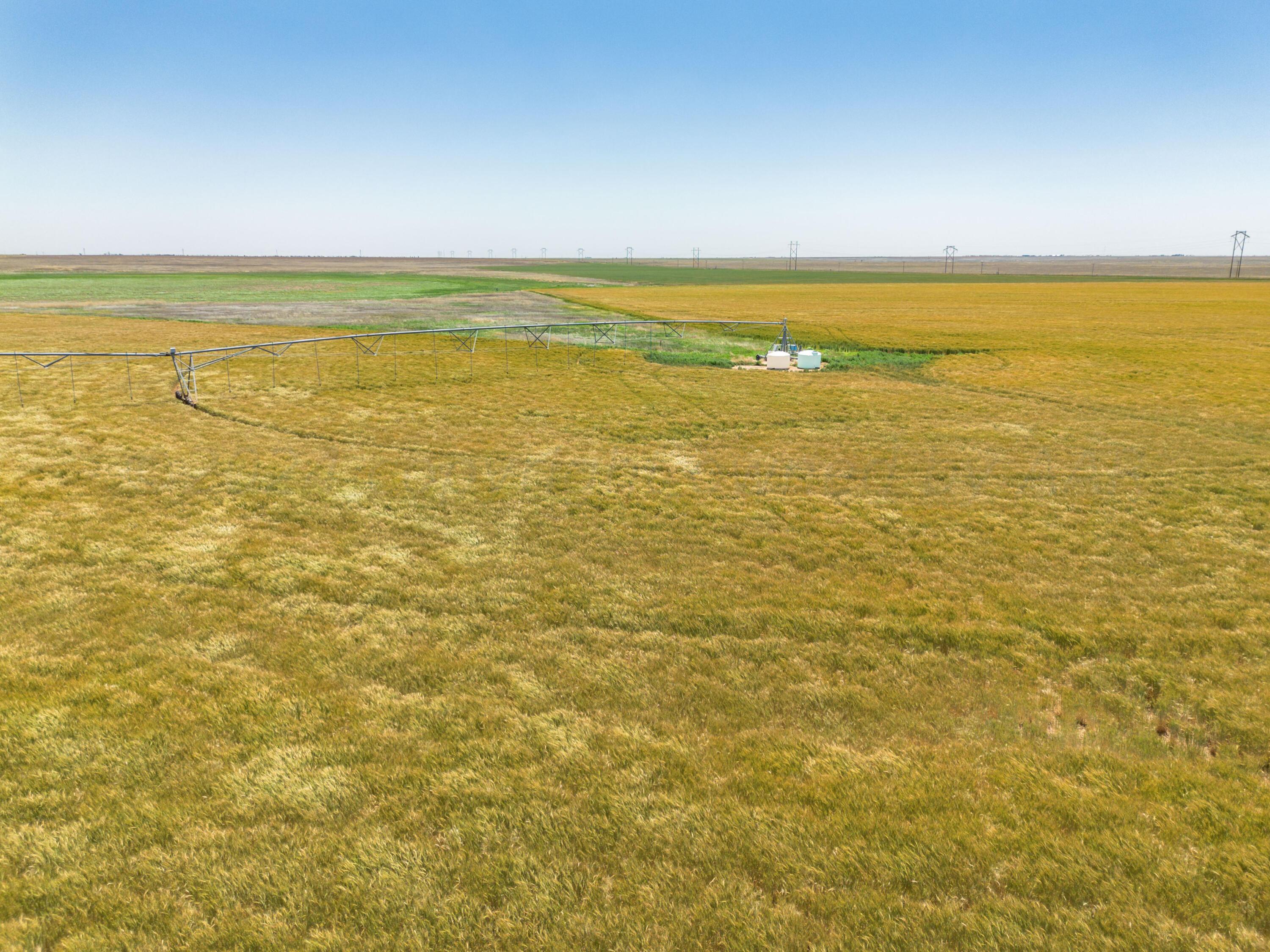 Vincent Farms Property Photo 120