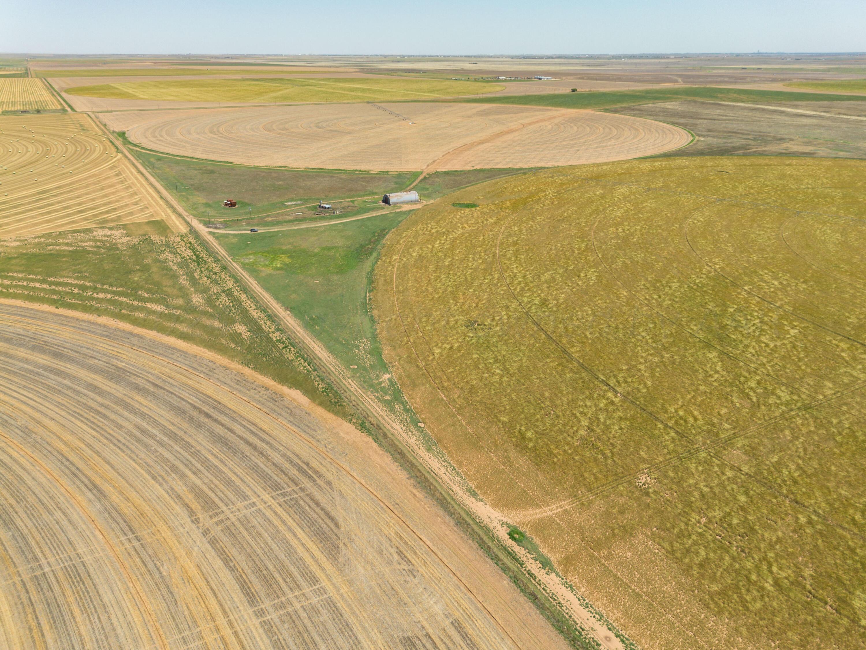 Vincent Farms Property Photo 125