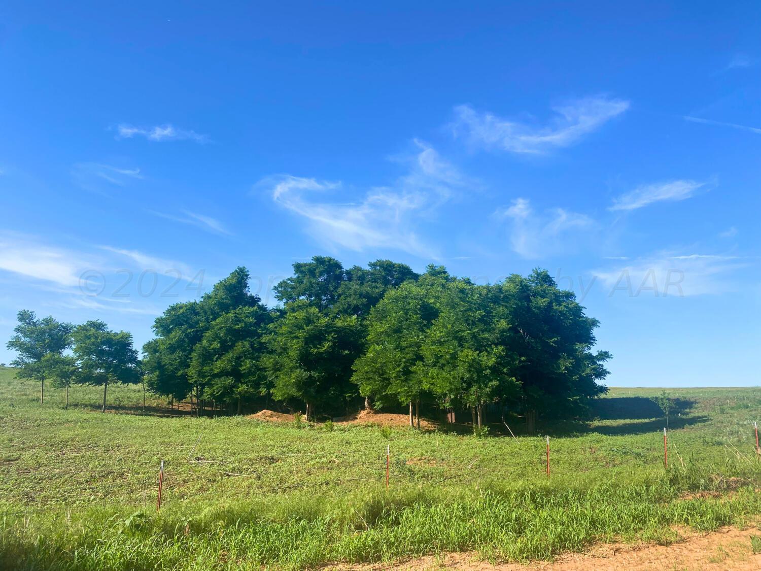 Camargo Property Photo