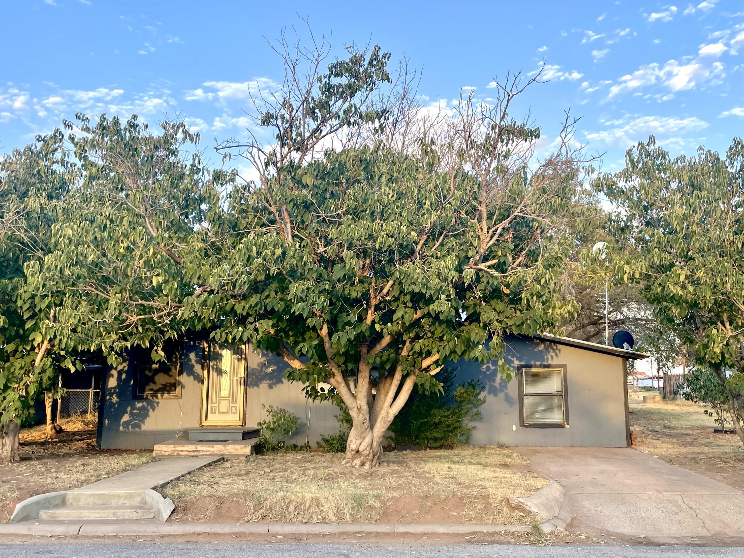 1106 Fortworth St. Street Property Photo