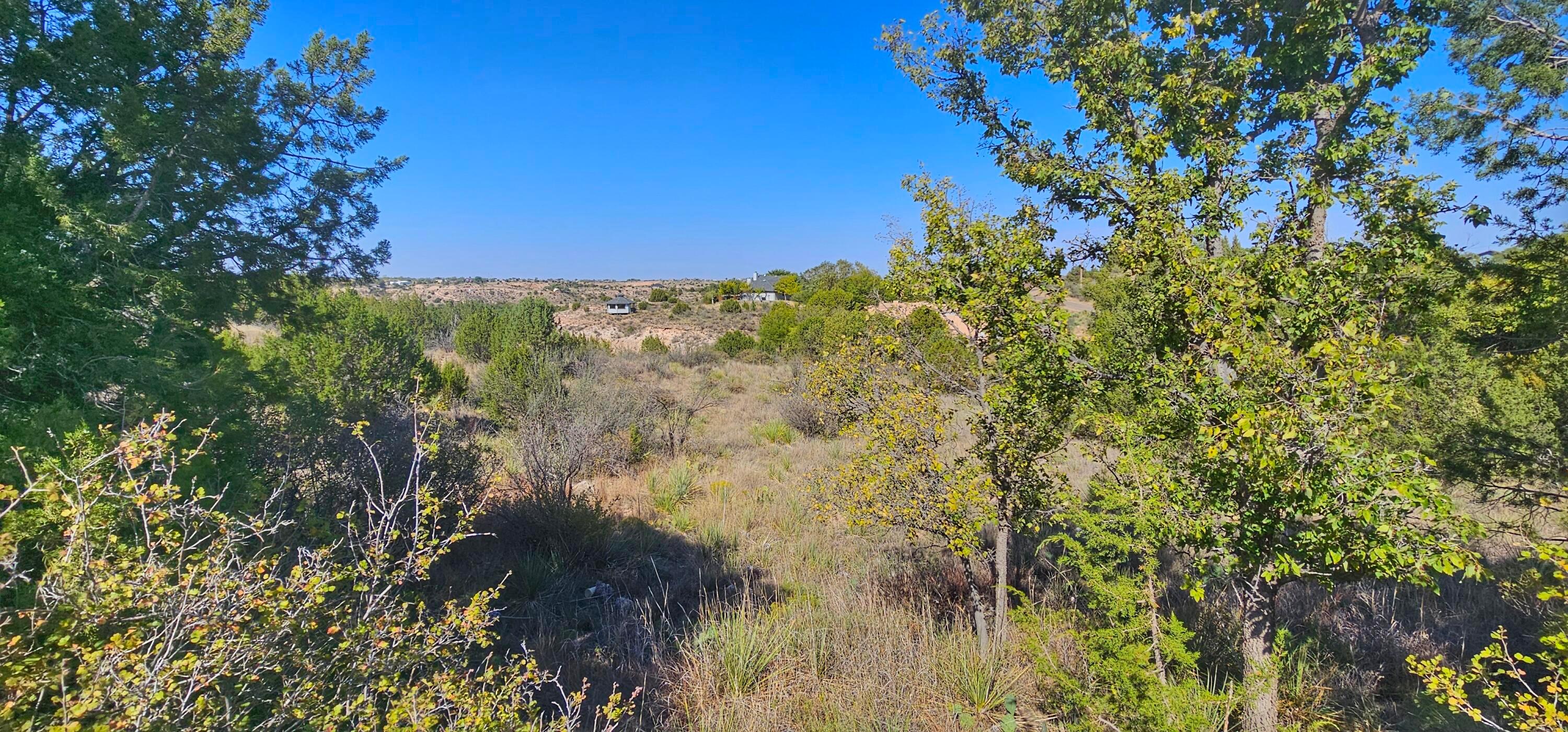 0 Fox Ridge Road Property Photo 8