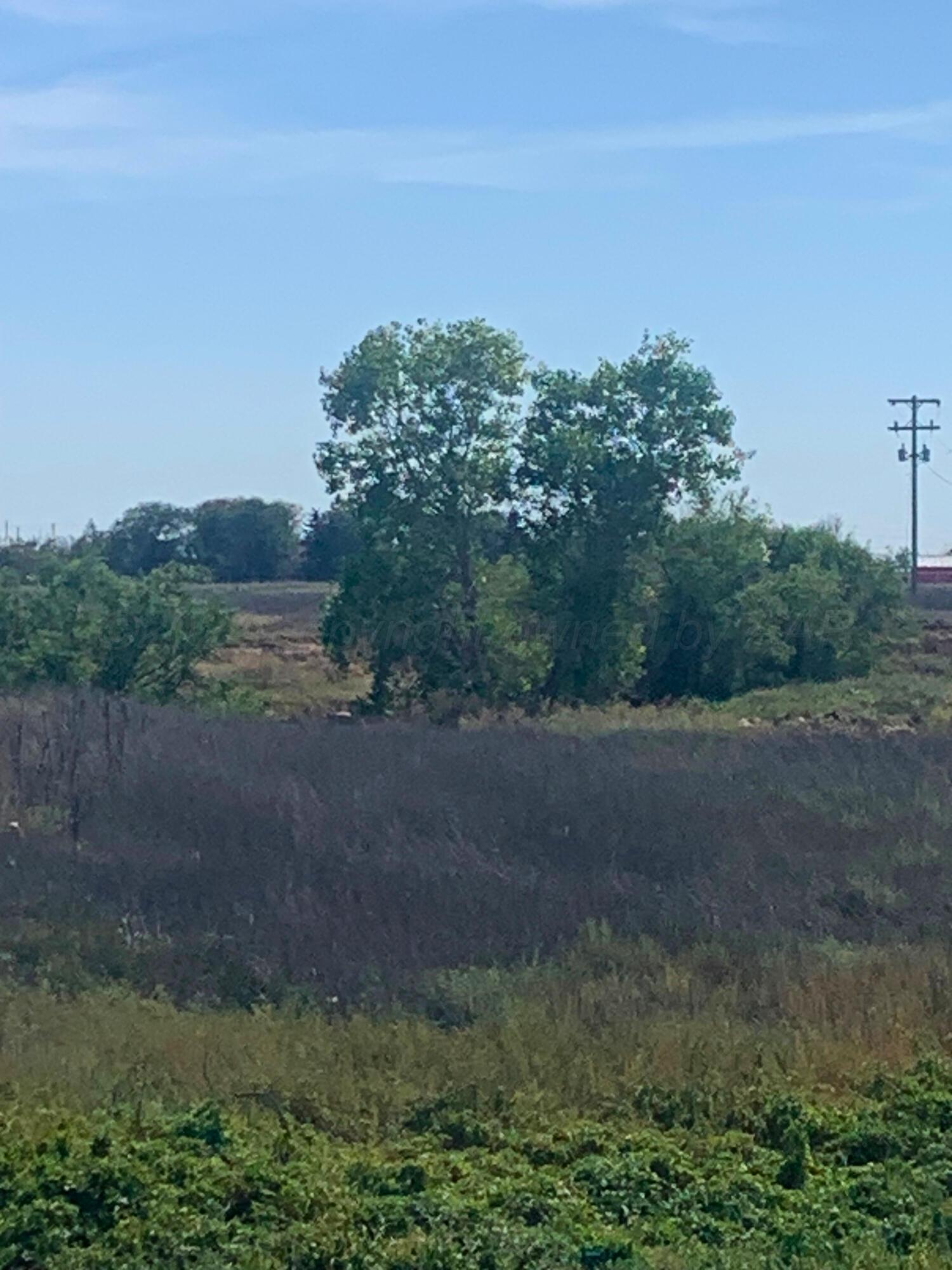Dumas Property Photo 3
