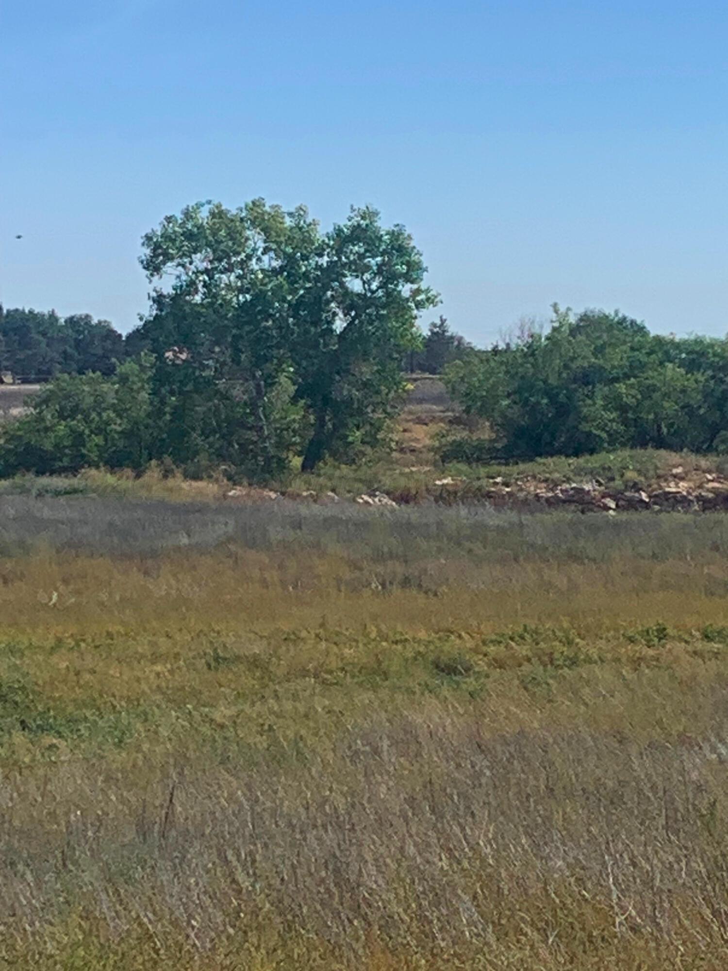 Dumas Property Photo 4