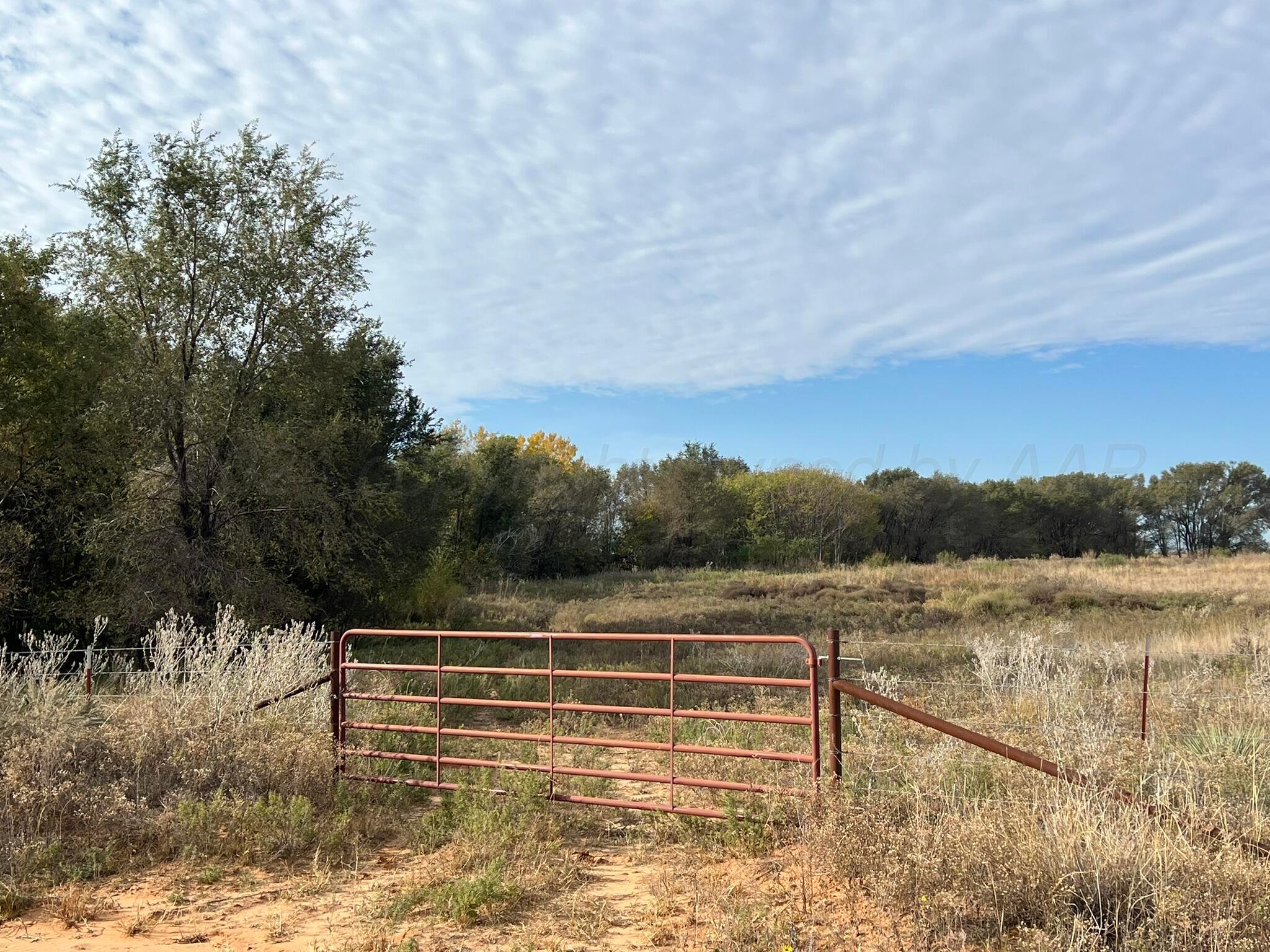 Tbd County Road 19 Property Photo