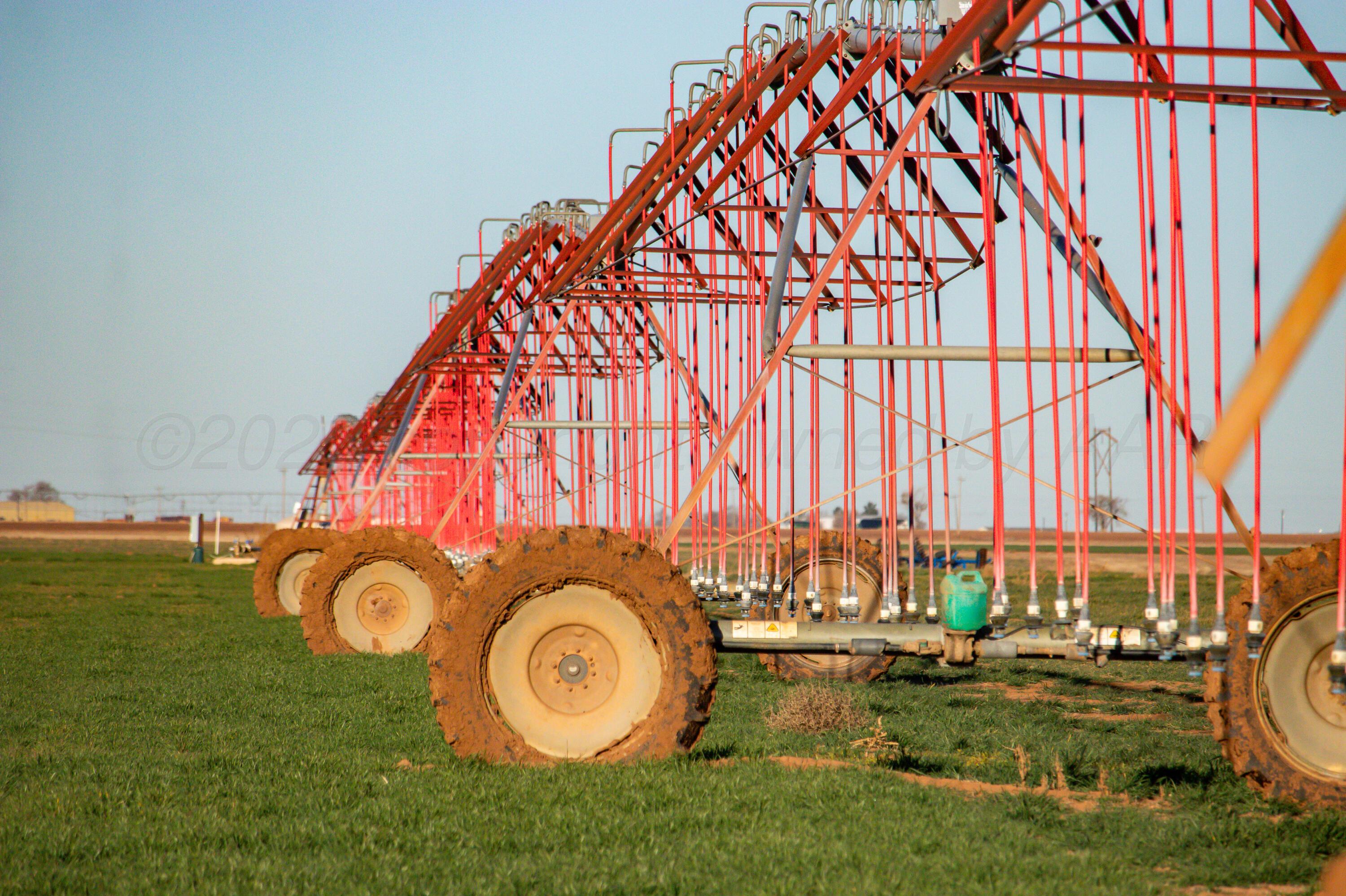 Te Velde Irrigated Farm Property Photo 4