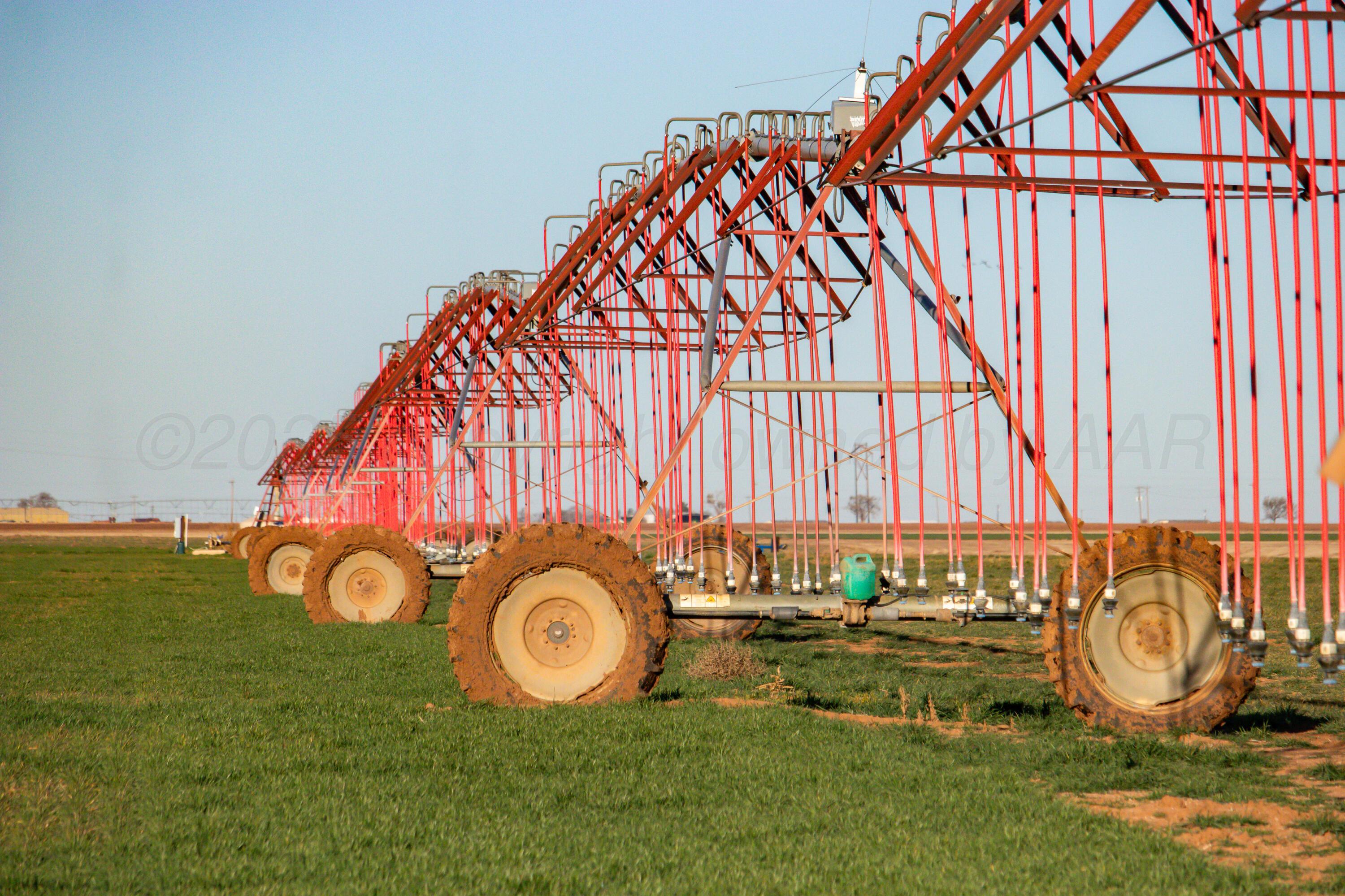 Te Velde Irrigated Farm Property Photo 5