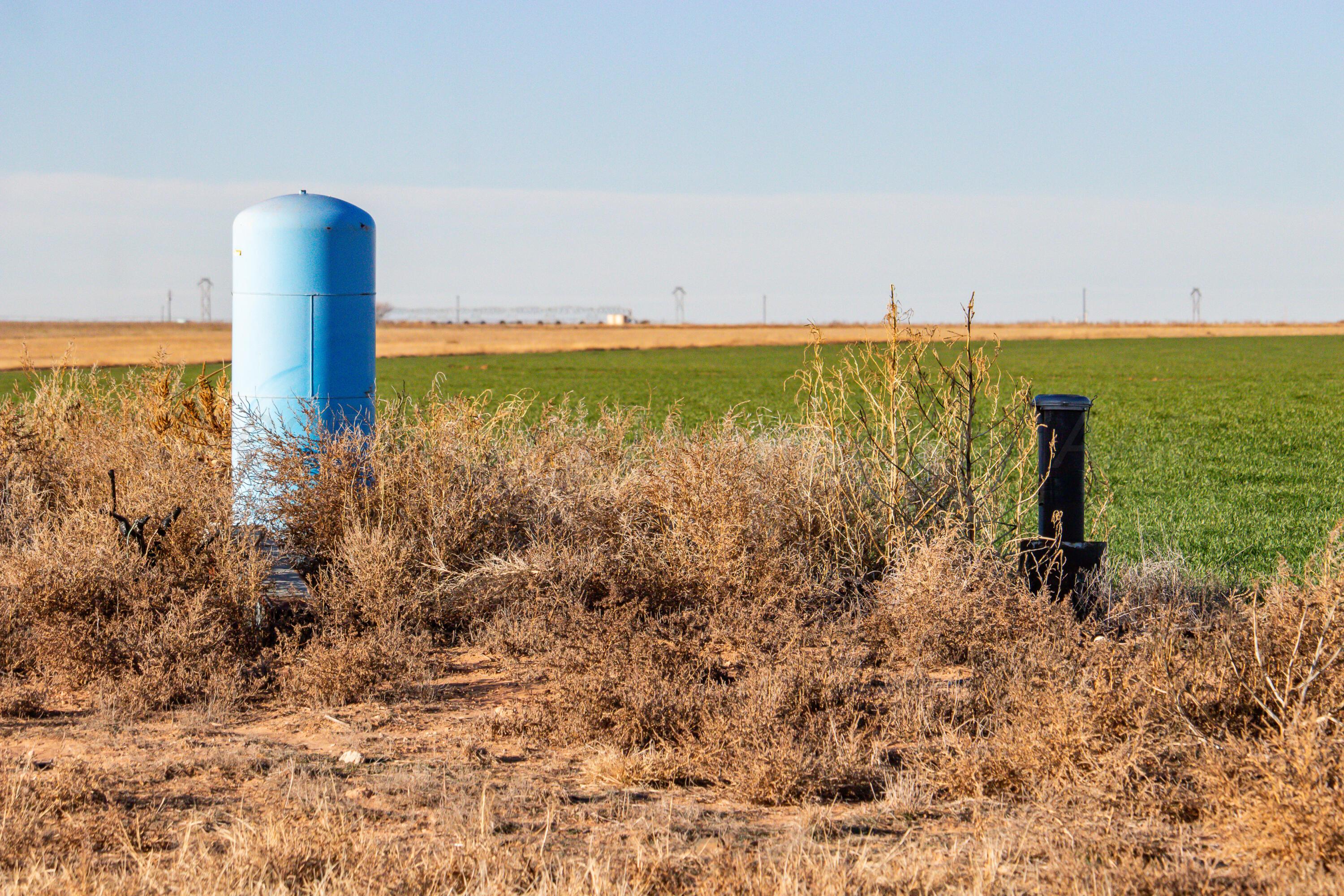 Te Velde Irrigated Farm Property Photo 7