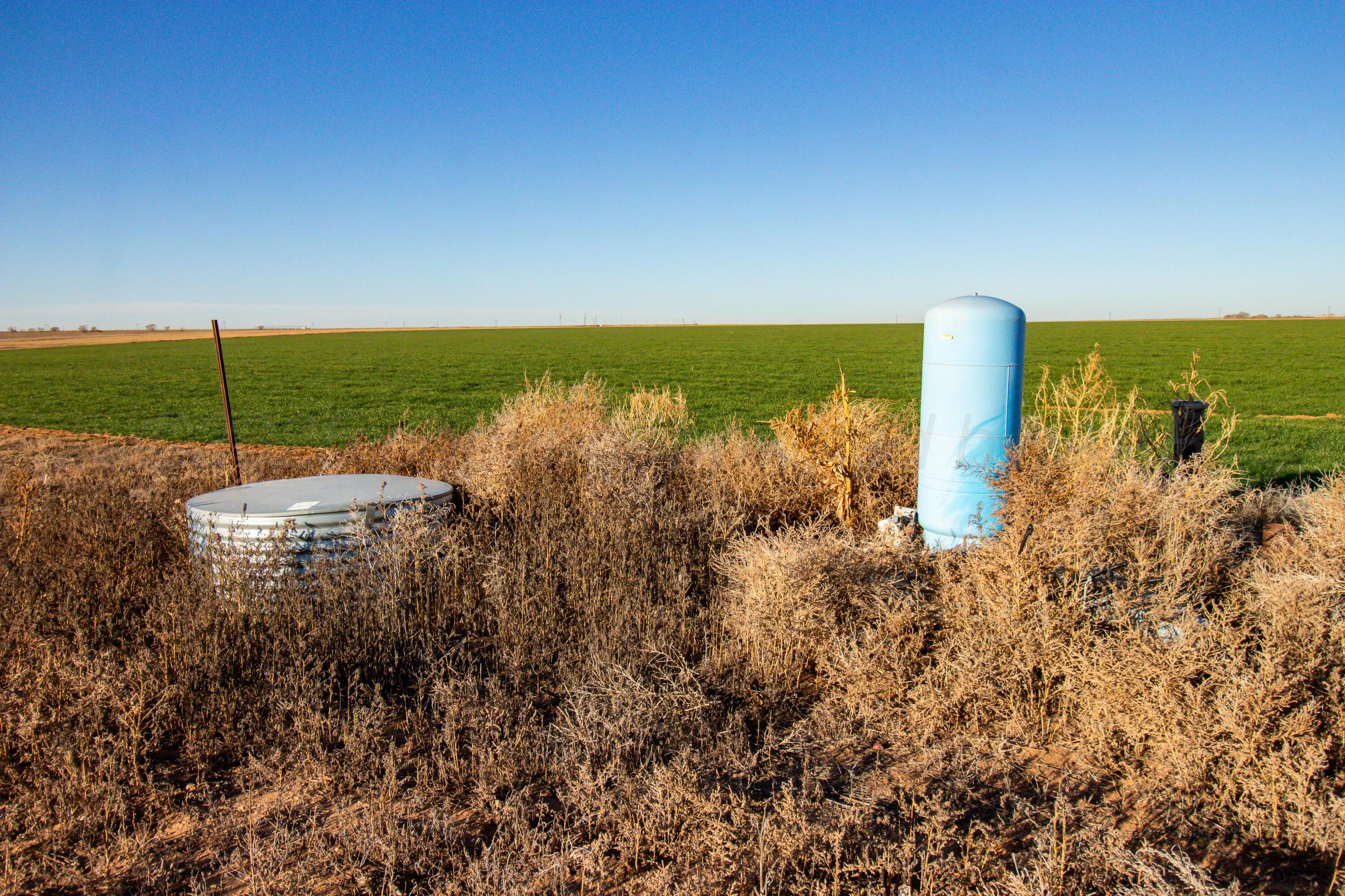 Te Velde Irrigated Farm Property Photo 8
