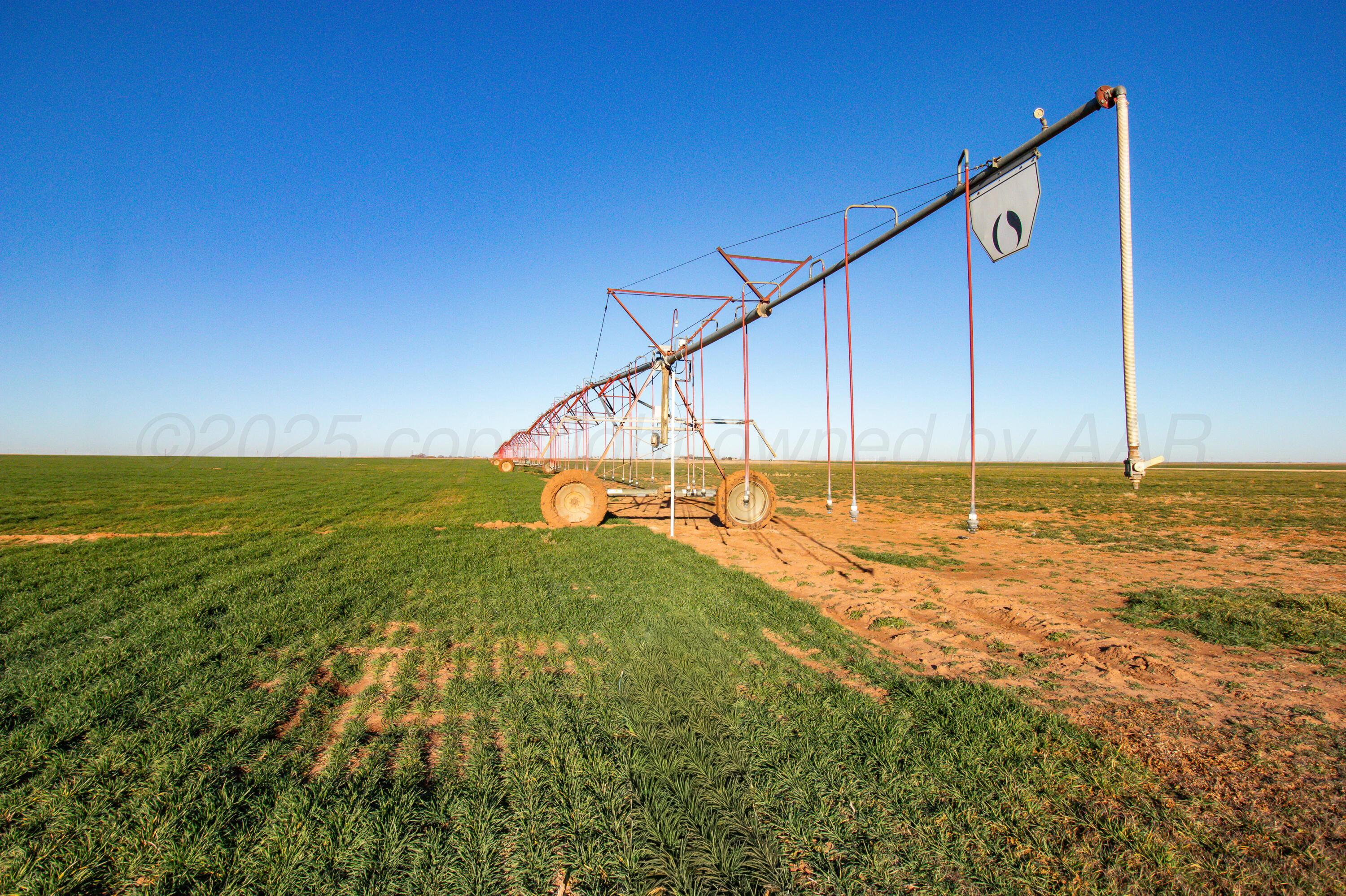 Te Velde Irrigated Farm Property Photo 10